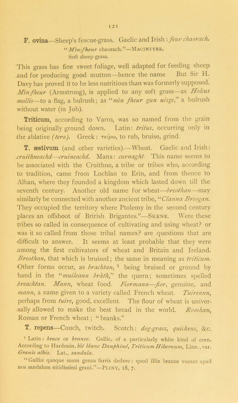 F. ovina—Sheep’s fescue-grass. Gaelic and Irish \ feur chaorach. “ Min-fheur chaorach.”—MACINTYRE. Soft sheep grass. This grass has fine sweet foliage, well adapted for feeding sheep and for producing good mutton—hence the name But Sir H. Davy has proved it to be less nutritious than was formerly supposed. Minfheur (Armstrong), is applied to any soft grass—as Holcus mollis—to a flag, a bulrush; as “mhi fheur gun uisge,” a bulrush without water (in Job). Triticum, according to Varro, was so named from the grain being originally ground down. Latin: tritus, occurring only in the ablative (tero). Greek: reipto, to rub, bruise, grind. T. aestivum (and other varieties).—Wheat. Gaelic and Irish: cruithneachd—cruineachd. Manx: curnaght. This name seems to be associated with the Cruithne, a tribe or tribes who, according to tradition, came from Lochlan to Erin, and from thence to Alban, where they founded a kingdom which lasted down till the seventh century. Another old name for wheat—breothan—may similarly be connected with another ancient tribe, “Clanna Breogan. They occupied the territory where Ptolemy in the second century places an offshoot of Brirish Brigantes.”—Skene. Were these tribes so called in consequence of cultivating and using wheat? or was it so called from those tribal names? are questions that are difficult to answer. It seems at least probable that they were among the first cultivators of wheat and Britain and Ireland. Breothan, that which is bruised; the same in meaning as triticum. Other forms occur, as brachtan, 1 being bruised or ground by hand in the “muileann brath,” the quern; sometimes spelled breachtati. Mann, wheat food. Fiormann—-Jior, genuine, and matin, a name given to a variety called French wheat. Tuireann, perhaps from tuire, good, excellent. The flour of wheat is univer- sally allowed to make the best bread in the world. Romhan, Roman or French wheat; “ branks.” T. repens—Couch, twitch. Scotch: dog-grass, quickens, &c. 1 Latin : brace or brance. Gallic, of a particularly white kind of corn. According to Hardouin, bid blanc Daupliind, Triticum Hibernian, Linn., var. Granis albis. Lat., sandala. “ Gallire quoque suum genus farris dederc : quod illie brance vocant apud nos sandalum nitidissimi grani.”—Pliny, iS, 7.