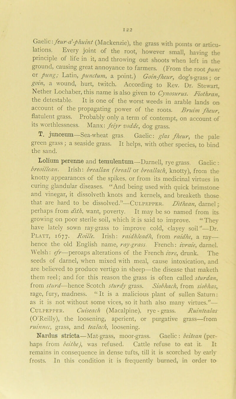 Gaelic:.fair a -phuint (Mackenzie), the grass with points or articu- lations. Every joint of the root, however small, having the principle of life in it, and throwing out shoots when left in the ground, causing great annoyance to farmers. (From the root punc 01 pung, Latin, punctual, a point.) Goin-fheur, dog’s-grass; or goiti, a wound, hurt, twitch. According to Rev. Dr. Stew-art, Nether Lochaber, this name is also given to Cynosurus. Fiothran, the detestable. It is one of the worst weeds in arable lands on account of the propagating power of the roots. Bruim fheur, flatulent glass. Probably only a term of contempt, on account of its worthlessness. Manx: feiyr vodde, dog grass. T. junceum—Sea-wheat gras Gaelic: glas fheur, the pale green grass; a seaside grass. It helps, with other species, to bind the sand. Lolium perenne and temulentum—Darnell, rye grass Gaelic : breoillean. Irish: breallan (hreall or breallach, knotty), from the knotty appearances of the spikes, or from its medicinal virtues in curing glandular diseases. “And being used with quick brimstone and vinegar, it dissolveth knots and kernels, and breaketh those that are hard to be dissolved.”—Culpepper. JDithean, darnel; perhaps from diih, want, poverty. It may be so named from its growing on poor sterile soil, which it is said to improve. “ They have lately sown ray-grass to improve cold, clayey soil”—Dr. Platt, 1677. Roille. Irish: raidh/eadh, from raidhe, a ray— hence the old English name, ray-grass. French: ivraie, darnel. Welsh: efr—peroaps alterations of the French t'vre, drunk. The seeds of darnel, when mixed with meal, cause intoxication, and are believed to produce vertigo in sheep—the disease that maketh them reel; and for this reason the grass is often called sturdan, from slin'd—hence Scotch sturdy grass. Siobhach, from siobhas, rage, fur}', madness. “It is a malicious plant of sullen Saturn: as it is not without some vices, so it hath also many virtues.”— Culpepper. Cuiseach (Macalpine), rye - grass. Ruintealas (O’Reilly), the loosening, aperient, or purgative grass—from ruinnec, grass, and tea lack, loosening. Nardus stricta—Mat-grass, moor-grass. Gaelic: beitean (per- haps from beithe), was refused. Cattle refuse to eat it. It remains in consequence in dense tufts, till it is scorched by early frosts. In this condition it is frequently burned, in order to