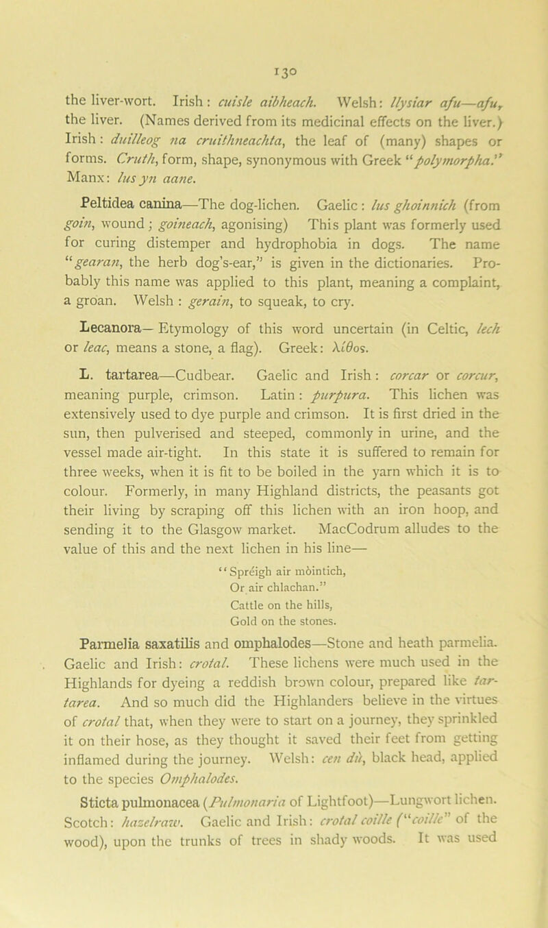 i3° the liver-wort. Irish : enisle aibheach. Welsh: llysiar afu—afur the liver. (Names derived from its medicinal effects on the liver.) Irish: duilleog na cruithneachta, the leaf of (many) shapes or forms. Cruth, form, shape, synonymous with Greek “polytnorphaP Manx: lusyn aane. Peltidea canina—The dog-lichen. Gaelic : lus ghoinnich (from goin, wound; goineach, agonising) This plant was formerly used for curing distemper and hydrophobia in dogs. The name “ gearan, the herb dog’s-ear,” is given in the dictionaries. Pro- bably this name was applied to this plant, meaning a complaint, a groan. Welsh : gerain, to squeak, to cry. Lecanora— Etymology of this word uncertain (in Celtic, lech or leac, means a stone, a flag). Greek: XCOos. L. tartarea—Cudbear. Gaelic and Irish : corcar or corcur, meaning purple, crimson. Latin: purpura. This lichen was extensively used to dye purple and crimson. It is first dried in the sun, then pulverised and steeped, commonly in urine, and the vessel made air-tight. In this state it is suffered to remain for three weeks, when it is fit to be boiled in the yarn which it is to colour. Formerly, in many Highland districts, the peasants got their living by scraping off this lichen with an iron hoop, and sending it to the Glasgow market. MacCodrum alludes to the value of this and the next lichen in his line— “Spreigh air m6intich, Or air chlachan.” Cattle on the hills, Gold on the stones. Parmelia saxatilis and omphalodes—Stone and heath parmelia. Gaelic and Irish: croial. These lichens were much used in the Highlands for dyeing a reddish brown colour, prepared like tar- tarea. And so much did the Highlanders believe in the virtues of crotal that, when they were to start on a journey, they sprinkled it on their hose, as they thought it saved their feet from getting inflamed during the journey. Welsh: ce?i du, black head, applied to the species Omphalodes. Sticta pulmonacea {Pillmonaria of Lightfoot)—Lungwort lichen. Scotch: hazelraw. Gaelic and Irish: crotal cotlle (“coille of the wood), upon the trunks of trees in shady woods. It was used