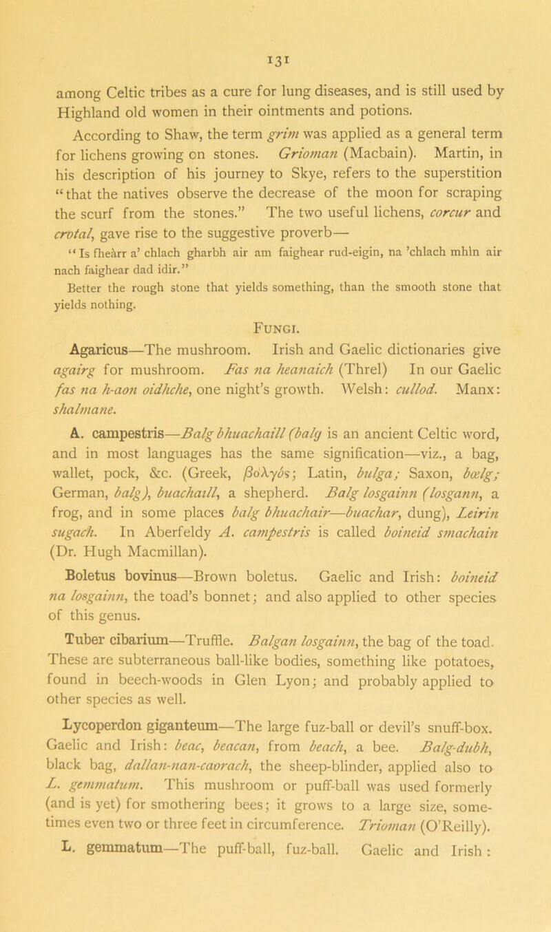among Celtic tribes as a cure for lung diseases, and is still used by Highland old women in their ointments and potions. According to Shaw, the term grim was applied as a general term for lichens growing on stones. Grioman (Macbain). Martin, in his description of his journey to Skye, refers to the superstition “ that the natives observe the decrease of the moon for scraping the scurf from the stones.” The two useful lichens, corcur and crotal, gave rise to the suggestive proverb— “ Is fhe;\rr a’ chlach gharbh air am faighear rud-eigin, na ’chlach mhin air nach faighear dad idir.” Better the rough stone that yields something, than the smooth stone that yields nothing. Fungi. Agaricus—The mushroom. Irish and Gaelic dictionaries give agairg for mushroom. Fas na heanaich (Threl) In our Gaelic fas na h-aon oidhche, one night’s growth. Welsh: cullod. Manx: shalmane. A. campestris—Balgbhuachaill (baly is an ancient Celtic word, and in most languages has the same signification—viz., a bag, wallet, pock, &c. (Greek, f3d\ybs‘, Latin, bulga; Saxon, bcelg; German, balg), buachaill, a shepherd. Balg losgainn (losgann, a frog, and in some places balg bhuachair—buachar, dung), Leirin sugach. In Aberfeldy A. campestris is called boineid smachain (Dr. Hugh Macmillan). Boletus bovinus—Brown boletus. Gaelic and Irish: boineid na losgainn, the toad’s bonnet; and also applied to other species of this genus. Tuber cibarium—Truffle. Balgan losgainn, the bag of the toad. These are subterraneous ball-like bodies, something like potatoes, found in beech-woods in Glen Lyon; and probably applied to other species as well. Lycoperdon giganteum—'The large fuz-ball or devil’s snuff-box. Gaelic and Irish: beac, beacan, from beach, a bee. Balg-dubh, black bag, dallan-nan-caorach, the sheep-blinder, applied also to L. gemmatum. This mushroom or puff-ball was used formerly (and is yet) for smothering bees; it grows to a large size, some- times even two or three feet in circumference. Trioman (O’Reilly). I*. gemmatum—T he puff-ball, fuz-ball. Gaelic and Irish :