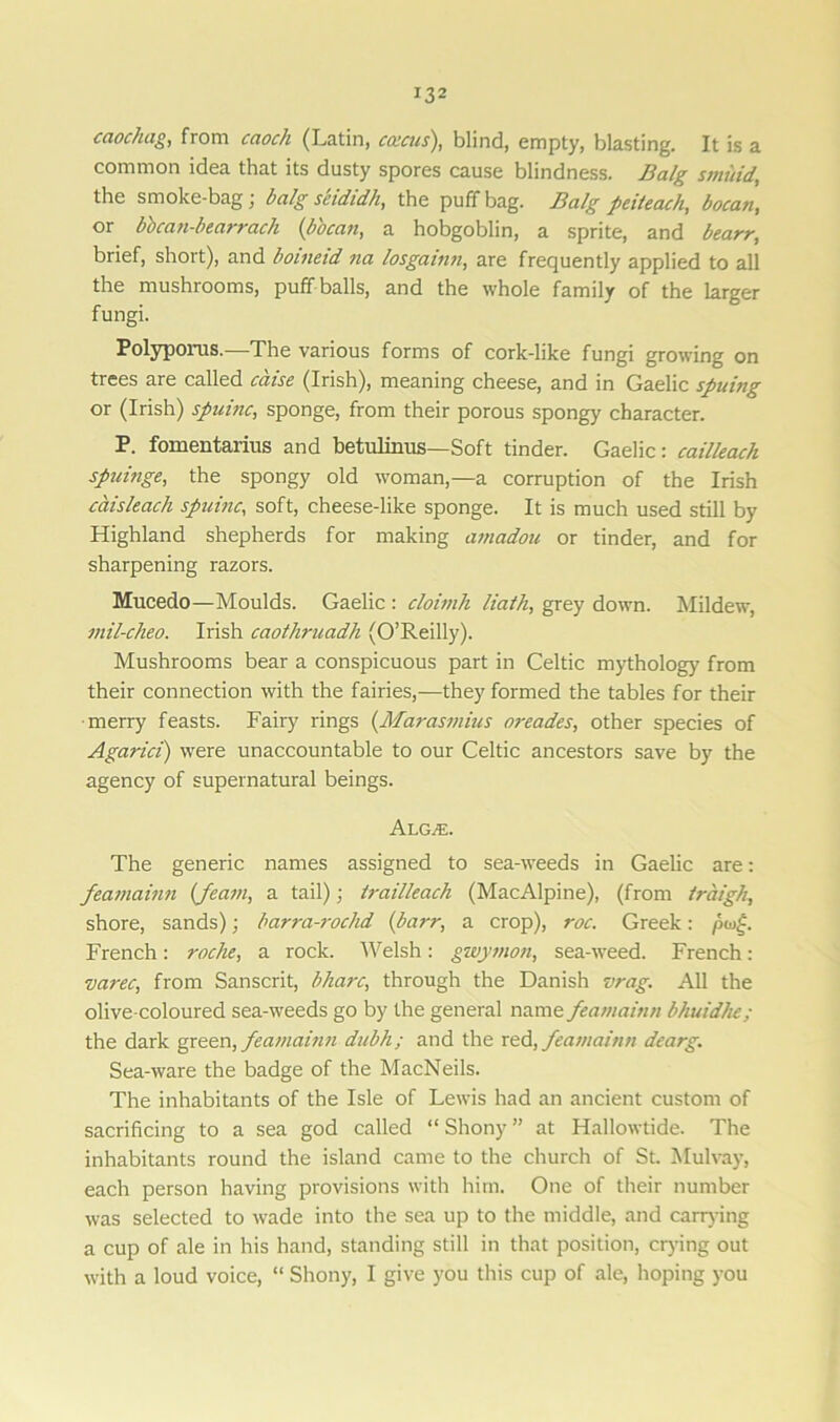 caochag, from caoch (Latin, emeus), blind, empty, blasting. It is a common idea that its dusty spores cause blindness. Balg smuid, the smoke-bag; balg seididh, the puff bag. Balg peiteach, boean, or bbean-bearrach (b'oean, a hobgoblin, a sprite, and bearr, brief, short), and boineid na losgainn, are frequently applied to all the mushrooms, puff balls, and the whole family of the larger fungi. Polyporus.—The various forms of cork-like fungi growing on trees are called caise (Irish), meaning cheese, and in Gaelic spuing or (Irish) spuinc, sponge, from their porous spongy character. P. fomentarius and betulinus—Soft tinder. Gaelic: eailleach spuinge, the spongy old woman,—a corruption of the Irish eaisleach spuinc, soft, cheese-like sponge. It is much used still by Highland shepherds for making amadou or tinder, and for sharpening razors. Mucedo—Moulds. Gaelic : cloimh Hath, grey down. Mildew, mil-cheo. Irish caothruadh (O’Reilly). Mushrooms bear a conspicuous part in Celtic mythology from their connection with the fairies,—they formed the tables for their merry feasts. Fairy rings (Marasmius oreades, other species of Agarici) were unaccountable to our Celtic ancestors save by the agency of supernatural beings. Alg^e. The generic names assigned to sea-weeds in Gaelic are: feamainn (feam, a tail); trailleach (MacAlpine), (from traigh, shore, sands); barra-rochd (barr, a crop), roc. Greek: pug. French: roche, a rock. Welsh: gwymon, sea-weed. French: varec, from Sanscrit, bharc, through the Danish vrag. All the olive-coloured sea-weeds go by the general name feamainn bhuidhe; the dark green, feamainn dubh; and the red, feamainn dearg. Sea-ware the badge of the MacNeils. The inhabitants of the Isle of Lewis had an ancient custom of sacrificing to a sea god called “ Shony ” at Hallowtide. The inhabitants round the island came to the church of St. Mulvay, each person having provisions with him. One of their number was selected to wade into the sea up to the middle, and carrying a cup of ale in his hand, standing still in that position, crying out with a loud voice, “ Shony, I give you this cup of ale, hoping you