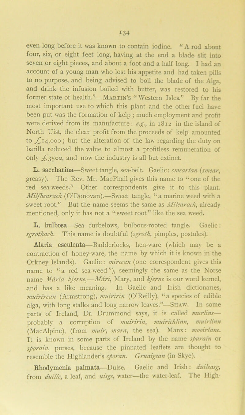 even long before it was known to contain iodine. “ A rod about four, six, or eight feet long, having at the end a blade slit into seven or eight pieces, and about a foot and a half long. I had an account of a young man who lost his appetite and had taken pills to no purpose, and being advised to boil the blade of the Alga, and drink the infusion boiled with butter, was restored to his former state of health.”—Martin’s “Western Isles.” By far the most important use to which this plant and the other fuci have been put was the formation of kelp ; much employment and profit were derived from its manufacture: e.g., in 1812 in the island of North Uist, the clear profit from the proceeds of kelp amounted to ^14,000 ] but the alteration of the law regarding the duty on barilla reduced the value to almost a profitless remuneration of only ^'3500, and now the industry is all but extinct. L. saccharina—Sweet tangle, sea-belt. Gaelic: smeartan (smear, greasy). The Rev. Mr. MacPhail gives this name to “one of the red sea-weeds.” Other correspondents give it to this plant. Milfhearach (O’Donovan).—Sweet tangle, “ a marine weed with a sweet root.” But the name seems the same as Milearach, already mentioned, only it has not a “ sweet root ” like the sea weed. L. bulbosa—Sea furbelows, bulbous-rooted tangle. Gaelic: sgrothach. This name is doubtful (sgroth, pimples, postules). Alaria esculenta—Badderlocks, hen-ware (which may be a contraction of honey-ware, the name by which it is known in the Orkney Islands). Gaelic: mircean (one correspondent gives this name to “a red sea-weed”), seemingly the same as the Norse name Maria kjerne,—Mdri, Mary, and kjerne is our word kernel, and has a like meaning. In Gaelic and Irish dictionaries, muirirean (Armstrong), muiririn (O’Reilly), “a species of edible alga, with long stalks and long narrow leaves.”—Shaw. In some parts of Ireland, Dr. Drummond says, it is called murlins— probably a corruption of muiririn, muirichlinti, muir/inn (MacAlpine), (from muir, tnara, the sea). Manx: mooir/ane. It is known in some parts of Ireland by the name sparain or sporain, purses, because the pinnated leaflets are thought to resemble the Highlander’s sporan. Gruaigean (in Skye). Rhodymenia palmata—Dulse. Gaelic and Irish : duiieasg, from duille, a leaf, and uisge, water—the water-leaf. The High-