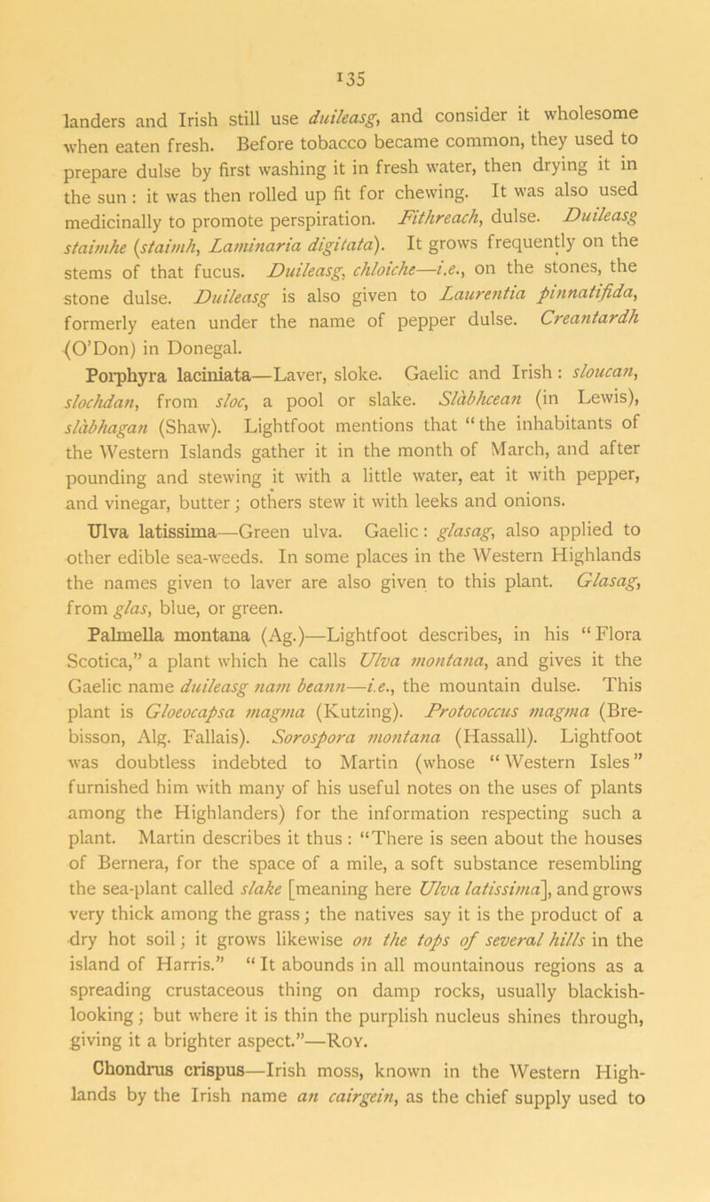 landers and Irish still use duileasg, and consider it wholesome when eaten fresh. Before tobacco became common, they used to prepare dulse by first washing it in fresh water, then drying it in the sun : it was then rolled up fit for chewing. It was also used medicinally to promote perspiration. Fit breach, dulse. Duileasg staimhe (staimh, Laminaria digitata). It grows frequently on the stems of that fucus. Duileasg, chloiche—i.e., on the stones, the stone dulse. Duileasg is also given to Laurentia pinnatifida, formerly eaten under the name of pepper dulse. Creantardh (O’Don) in Donegal. Porphyra laciniata—Laver, slolce. Gaelic and Irish: sloucan, slochdan, from sloe, a pool or slake. Slabhcean (in Lewis), slab hagan (Shaw). Lightfoot mentions that “the inhabitants of the Western Islands gather it in the month of March, and after pounding and stewing it with a little water, eat it with pepper, and vinegar, butter; others stew it with leeks and onions. Ulva latissima—Green ulva. Gaelic: glasag, also applied to other edible sea-weeds. In some places in the Western Highlands the names given to laver are also given to this plant. Glasag, from glas, blue, or green. Palmella montana (Ag.)—Lightfoot describes, in his “Flora Scotica,” a plant which he calls Ulva montana, and gives it the Gaelic name duileasg nam beann—i.e., the mountain dulse. This plant is Gloeocapsa magma (Kutzing). Protococcus magma (Bre- bisson, Alg. Fallais). Sorospora montana (Hassall). Lightfoot was doubtless indebted to Martin (whose “ Western Isles ” furnished him with many of his useful notes on the uses of plants among the Highlanders) for the information respecting such a plant. Martin describes it thus : “There is seen about the houses of Bernera, for the space of a mile, a soft substance resembling the sea-plant called slake [meaning here Ulva latissima\, and grows very thick among the grass; the natives say it is the product of a •dry hot soil; it grows likewise on the tops of several hills in the island of Harris.” “ It abounds in all mountainous regions as a spreading crustaceous thing on damp rocks, usually blackish- looking ; but where it is thin the purplish nucleus shines through, giving it a brighter aspect.”—Roy. Chondrus crispus—Irish moss, known in the Western High- lands by the Irish name an cairgein, as the chief supply used to