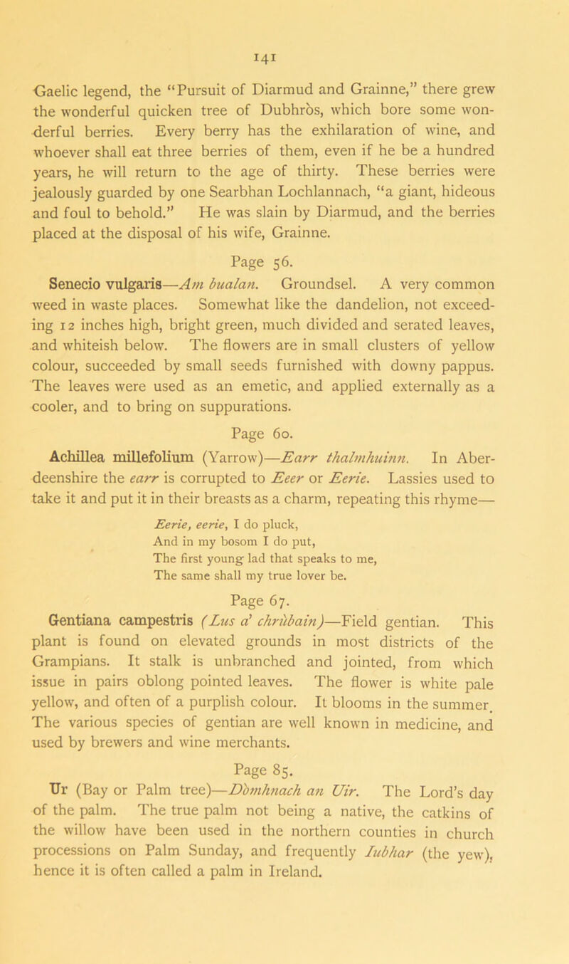 Gaelic legend, the “Pursuit of Diarmud and Grainne,” there grew the wonderful quicken tree of Dubhros, which bore some won- derful berries. Every berry has the exhilaration of wine, and whoever shall eat three berries of them, even if he be a hundred years, he will return to the age of thirty. These berries were jealously guarded by one Searbhan Lochlannach, “a giant, hideous and foul to behold.” He was slain by Diarmud, and the berries placed at the disposal of his wife, Grainne. Page 56. Senecio vulgaris—Am bualan. Groundsel. A very common weed in waste places. Somewhat like the dandelion, not exceed- ing 12 inches high, bright green, much divided and serated leaves, and whiteish below. The flowers are in small clusters of yellow colour, succeeded by small seeds furnished with downy pappus. The leaves were used as an emetic, and applied externally as a cooler, and to bring on suppurations. Page 60. Acliillea millefolium (Yarrow)—Earr thalmhuinn. In Aber- deenshire the earr is corrupted to Eeer or Eerie. Lassies used to take it and put it in their breasts as a charm, repeating this rhyme— Eerie, eerie, I do pluck, And in my bosom I do put, The first young' lad that speaks to me, The same shall my true lover be. Page 67. Gentiana campestris (Lus a’ chrubain)—Field gentian. This plant is found on elevated grounds in most districts of the Grampians. It stalk is unbranched and jointed, from which issue in pairs oblong pointed leaves. The flower is white pale yellow, and often of a purplish colour. It blooms in the summer. The various species of gentian are well known in medicine, and used by brewers and wine merchants. Page 85. Hr (Bay or Palm tree)—D'omknach an Uir. The Lord’s day of the palm. The true palm not being a native, the catkins of the willow have been used in the northern counties in church processions on Palm Sunday, and frequently Iubhar (the yew), hence it is often called a palm in Ireland.