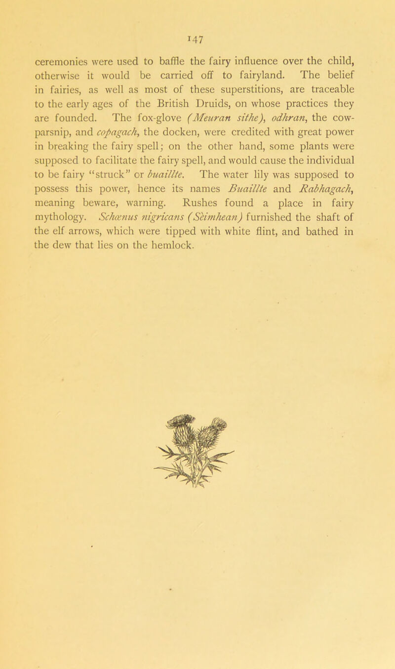 ceremonies were used to baffle the fairy influence over the child, otherwise it would be carried off to fairyland. The belief in fairies, as well as most of these superstitions, are traceable to the early ages of the British Druids, on whose practices they are founded. The fox-glove (Meuran sithe), odhran, the cow- parsnip, and copagach, the docken, were credited with great power in breaking the fairy spell; on the other hand, some plants were supposed to facilitate the fairy spell, and would cause the individual to be fairy “struck” or buaillte. The water lily was supposed to possess this power, hence its names Buaillte and Rabhagach, meaning beware, warning. Rushes found a place in fairy mythology. Schcenus nigricans (Seimhean) furnished the shaft of the elf arrows, which were tipped with white flint, and bathed in the dew that lies on the hemlock.