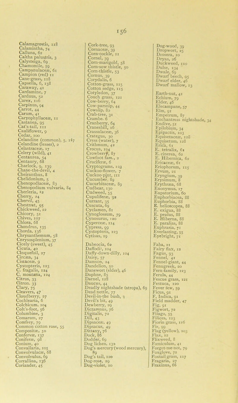 Calamagrostis, 118 Calamintha, 74 Calluna, 62 Caltha palustris, 3 Calysteiga, 69 Chamomile, 59 Campanulaceae, 61 Campion (red) 11 Cane-grass, 118 Capsella, 6, 138 Caraway, 41 Cardamine, 7 Carduus, 52 Carex, 116 Carpinus, 94 Carrot, 44 Carum, 41 Caryophyllaceas, 11 Castanea, 95 Cat’s-tail, m Cauliflower, 9 Cedar, 100 Celandine (common), 5, 147 Celandine (lesser), 2 Celastracese, 17 Celery (wild), 41 Centaurea, 54 Centaury, 68 Charlock, 9, 139 Chase-the-devil, 4 Cheiranthus, 8 Chelidonium, 5 Chenopodiaceae, 83 Chenopodium vulvaria, 84 Cherleria, 12 Cherry, 24 Chervil, 45 Chestnut, 95 Chickweed, 12 Chicory, 51 Chives, 107 Chlora, 68 Chondrus, 135 Chorda, 136 Chrysanthemum, 58 Cnrysosplenium, 37 Cicely (sweet), 45 Cicuta, 40 Cinquefoil, 27 Circaea, 34 Cistaceas, 9 Cystopteris, 123 C. fragalis, 124 C. montana, 124 Citrus, 33 Citron. 33 Clary, 75 Cleavers, 47 Cloudberry, 27 Cochlearia, 6 Colchicum, 104 Colt’s-foot, 56 Columbine, 3 Comarum, 27 Comfrey, 79 Common cotton rose, 55 Compositac, 50 Conferva:, 137 Coniferac, 98 Conium, 40 Convallaria, 105 Convolvulacae, 68 Convolvulus, 69 Corrallina, 136 Coriander, 45 Cork-tree, 93 Cornacea:, 39 Corn-cockle, n Cornel, 39 Corn-mangold, 58 Corn-sow thistle, 50 Corn-thistle, 53 Comus, 39 Corydalis, 6 Cotton-grass, 115 Cotton sedge, 115 Cotyledon, 37 Couch grass, 121 Cow-berry, 64 Cow-parsnip, 44 Cowslip, 8o Crab-tree, 31 Crambe. 6 Cranberry, 64 Cranesbill, 16 Crassulaceac, 36 Crategus, 30 Cress (water), 7 Crithmum, 42 Crocus, 104 Crowberry, 87 Cowfoot fam., 2 Cruciferae, 6 Cryptograms, 123 Cuckoo-flower, 7 Cuckoo-pint, 111 Cucumber, 89 Cucurbitaceae, 89 Cudbear, 130 Cudweed, 55 Cupuliferae, 92 Currant, 35 Cuscuta, 69 Cyclamen, 81 Cynoglossum, 79 Cynosurus, 120 Cyperceae. 114 Cypress, 99 Cystopteris, 123 Cytisus, 19 Dabeocia, 62 Daffodi*, 104 Daffy-down-dilly, 104 Daisy, 57 Damson, 24 Dandelion, 50 Danewort (elder), 46 Daphne, 85 Darnel, 122 Daucus, 44 Deadly nightshade (atropa), 69 Dead nettle, 77 Devil-in-the bush, 3 Devil’s bit, 49 Dewberry, 29 Dictamnus, 76 Digitalis, 72 Dill, 43 Dipsacea;, 49 Dipsacus, 49 Dittany, 76 Dock, 86 Dodder, 69 Dog lichen, 130 Dog’s mercury (wood mercury), ?9 Dog s tail, 120 Dog-rose, 29 Dog-violet, 10 Dog-wood, 39 Dropwort, 25 D/osera, 10 Dryas, 26 Duckweed, no Dulse, 134 Dwale, 69 Dwarf beech, 95 Dwarf elder, 46 Dwarf mallow, 13 Earth-nut, 41 Echium, 79 Elder, 46 Elecampane, 57 Elm, 91 Empetrum, 87 Enchantress nighLshade, 34 Endive, 51 Epilobium, 34 Epipactis, 103 Equisetacea:, 128 Equisetum, 128 Erica, 61 E. tetralix, 61 E. cinerea, 62 E. Hibernica, 62 Ericaceae, 6t Eriophonim, 115 Ervum, 21 Eryngium, 39 Erysimum, 8 Erythrsea, 68 Euonymus, 17 Eupatorium, 60 Euphorbiacea, 88 Euphorbia, 88 E. helioscopea, 88 E. exigua, 88 E. peplus, 88 E. Hibema, 88 E. paralias, 88 Euphrasia, 71 Everlasting, 55 Eyebright, 71 Faba, 21 Fairy flax, 12 Fagus, 93 Fennel, 41 Fennel-giant, 44 Fenugreek, 20 Fern family, 123 Ferula, 44 Fescue grass, 121 Festuca, 120 Fever few, 59 Ficus, 91 F. Indica, 91 Field madder, 47 Fig, 91 Figwort, 72 Filago, 55 Filices, 123 Fiorin grass, 116 Fir, 99 Flag (yellow), 103 Flax, 12 Flixwccd, 8 Facniculum, 41 Forget-me-not, 79 Foxglove, 72 Foxtail grass, 117 Frag aria, 27 Fraxinus, 66