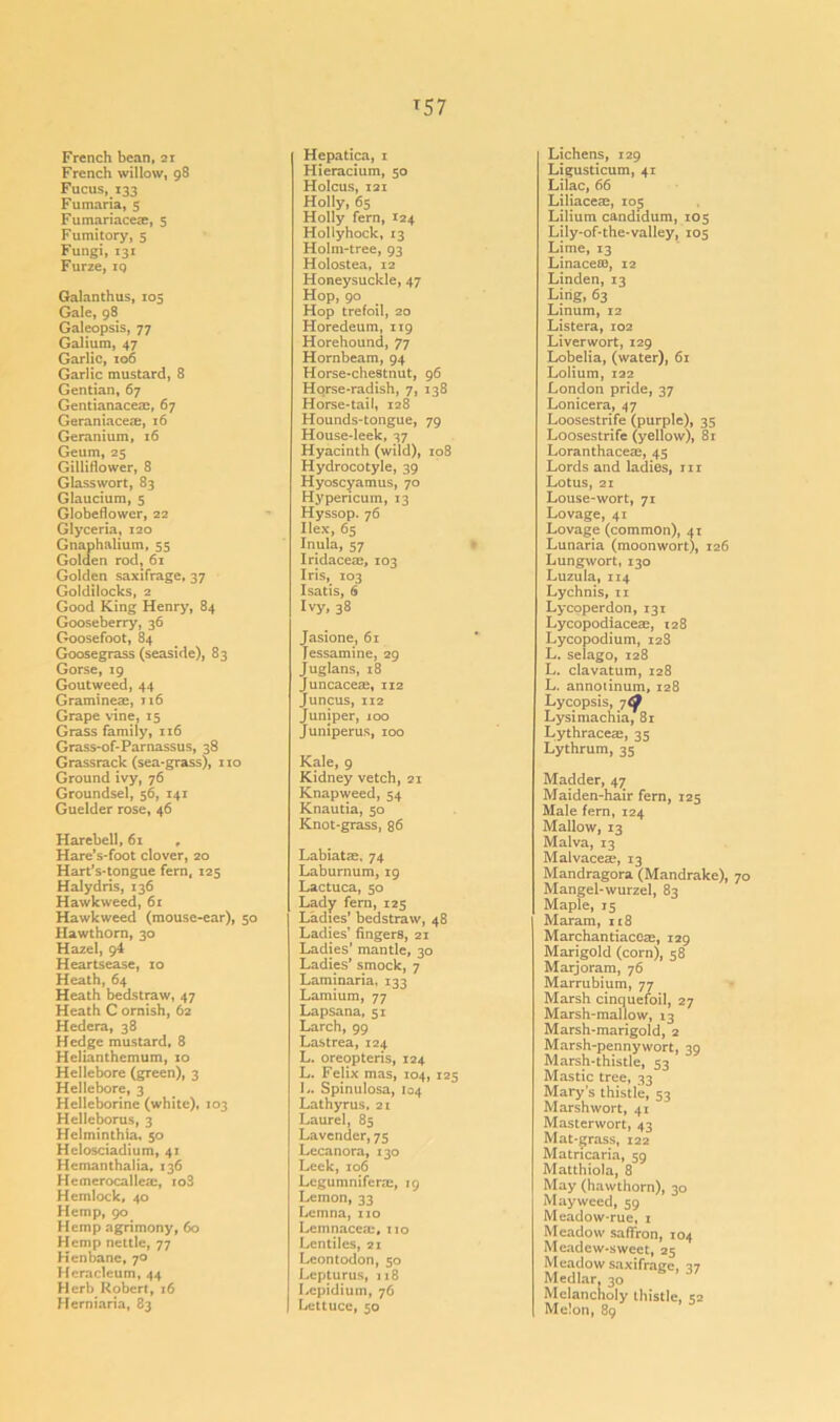 T57 French bean, 21 French willow, 98 Fucus, 133 Fumaria, 5 Fumariaceae, 5 Fumitory, 5 Fungi, 131 Furze, iq Galanthus, 105 Gale, 98 Galeopsis, 77 Galium, 47 Garlic, 106 Garlic mustard, 8 Gentian, 67 Gentianacem, 67 Geraniaceae, 16 Geranium, 16 Geum, 25 Gilliflower, 8 Glasswort, 83 Glaucium, 5 Globeflower, 22 Glyceria, 120 Gnaphalium, 55 Golden rod, 61 Golden saxifrage, 37 Goldilocks, 2 Good King Henry, 84 Gooseberry, 36 Goosefoot, 84 Goosegrass (seaside), 83 Gorse, 19 Goutweed, 44 Gramineae, 116 Grape vine, 15 Grass family, 116 Grass-of-Parnassus, 38 Grassrack (sea-grass), no Ground ivy, 76 Groundsel, 56, 141 Guelder rose, 46 Harebell, 61 r Hare’s-foot clover, 20 Hart’s-tongue fern, 125 Halydris, 136 Hawkweed, 61 Hawk weed (mouse-ear), 50 Hawthorn, 30 Hazel, 94 Heartsease, 10 Heath, 64 Heath bedstraw, 47 Heath C ornish, 62 Hedera, 38 Hedge mustard, 8 Helianthemum, 10 Hellebore (green), 3 Hellebore, 3 Helleborine (white), 103 Helleborus, 3 Helminthia, 50 Helosciadium, 41 Hemanthalia, 136 Hemerocalleai, io3 Hemlock, 40 Hemp, 90 Hemp agrimony, 60 Hemp nettle, 77 Henbane, 70 Hcraclcum, 44 Herb Robert, 16 Herniaria, 83 Hepatica, 1 Hieracium, 50 Holcus, 121 Holly, 65 Holly fern, 124 Hollyhock, 13 Holm-tree, 93 Holostea, 12 Honeysuckle, 47 Hop, 90 Hop trefoil, 20 Horedeum, 119 Horehound, 77 Hornbeam, 94 Horse-chestnut, 96 Horse-radish, 7, 138 Horse-tail, 128 Hounds-tongue, 79 House-leek, 37 Hyacinth (wild), 108 Hydrocotyle, 39 Hyoscyamus, 70 Hypericum, 13 Hyssop. 76 Ilex, 65 Inula, 57 Iridaceae, 103 Iris, 103 Isatis, 6 Ivy, 38 Jasione, 61 Jessamine, 29 Juglans, 18 Juncaceae, 112 Juncus, 112 Juniper, 100 Juniperus, 100 Kale, 9 Kidney vetch, 21 Knapweed, 54 Knautia, 50 Knot-grass, 86 Labiatas, 74 Laburnum, 19 Lactuca, 50 Lady fern, 125 Ladies’ bedstraw, 48 Ladies’ fingers, 21 Ladies’ mantle, 30 Ladies’ smock, 7 Laminaria, 133 Lamium, 77 Lapsana, 51 Larch, 99 Lastrea, 124 L. oreopteris, 124 L. Felix mas, 104, 125 L. Spinulosa, 104 Lathyrus, 21 Laurel, 85 Lavender, 75 Lecanora, 130 Leek, 106 Lcgumnifera:, 19 Lemon, 33 Lemna, no Lemnacem, 110 Lentiles, 21 Leontodon, 50 Lepturus, 118 Lcpidium, 76 Lettuce, 50 Lichens, 129 Ligusticum, 41 Lilac, 66 Liliaceae, 105 Lilium candidum, 105 Lily-of-the-valley, 105 Lime, 13 Linaceos, 12 Linden, 13 Ling, 63 Linum, 12 Listera, 102 Liverwort, 129 Lobelia, (water), 61 Lolium, 122 London pride, 37 Lonicera, 47 Loosestrife (purple), 35 Loosestrife (yellow), 81 Loranthaceas, 45 Lords and ladies, nr Lotus, 21 Louse-wort, 71 Lovage, 41 Lovage (common), 41 Lunaria (moonwort), 126 Lungwort, 130 Luzula, 114 Lychnis, 11 Lycoperdon, 131 Lycopodiaceae, 128 Lycopodium, 128 L. selago, 128 L. clavatum, 128 L. annotinum, 128 Lycopsis, 7^ Lysimachia, 81 Lythraceae, 35 Lythrum, 35 Madder, 47 Maiden-hair fern, 125 Male fern, 124 Mallow, 13 Malva, 13 Malvaceae, 13 Mandragora (Mandrake), 70 Mangel-wurzel, 83 Maple, 15 Maram, 118 Marchantiaceae, 129 Marigold (corn), 58 Marjoram, 76 Marrubium, 77 Marsh cinquefoil, 27 Marsh-mallow, 13 Marsh-marigold, 2 Marsh-pennywort, 39 Marsh-thistle, 53 Mastic tree, 33 Mary’s thistle, 53 Marshwort, 41 Masterwort, 43 Mat-grass, 122 Matricaria, 59 Matthiola, 8 May (hawthorn), 30 Mayweed, 59 Meadow-rue, 1 Meadow saflron, 104 Meadew-sweet, 25 Meadow saxifrage, 37 Medlar, 30 Melancholy thistle, 52 Melon, 89