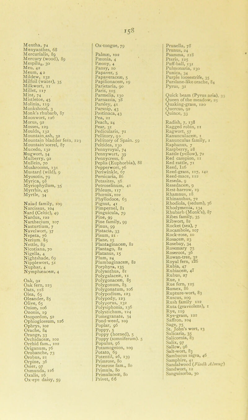 Mentha, jx Menyanthes, 68 Mercurialis, 89 Mercury (wood), 89 Mespilus, 30 Meu, 42' Meum, 42 Mildew, 132 Milfoil (water), 35 Milkwort, n Millet, 117 Mint, 74 Mistletoe, 45 Molinia, 119 Monkshood, 3 Monk’s rhubarb, 87 Moon wort, 126 Morus, 92 Mosses, 129 Moulds, 132 Mountain.ash, 32 Mountain bladder fern, 123 Mountain'sorrel, 87 Mucedo, 132 Mug wort, 54 Mulberry, 92 Mullein, 70 Mushrooms, 131 Mustard (wild), 9 Myosotis, 79 Myrica, 98 Myriophyllum, 35 Myrrhis, 45 Myrtle, 34 Naiad family, 109 Narcissus, 104 Nard (Celtic), 49 Nardus, 122 Narthecium^ 107 Nasturtium, 7 Navelwort, 37 Nepeta, 76 Nerium. 85 Nettle, 89 Nicotiana, 70 Nigella, 4 Nightshade, 69 Nipplewort, 51 Nuphar, 4 Nymph® ace®, 4 Oak, 92 Oak fern, 123 Oats, 118 Olea, 65 Oleander, 85 Olive, 65 Onion, 106 Ononis, 19 Onopordon, 52 Ophioglossum, 126 Ophrys, 102 Orache, 84 Orange, 33 Orchidace®, 102 Orchid fam., 102 Origanum, 76 Orobanche, 73 Orobus, 21 Orpine, 36 Osier, 97 Osmunda, 126 Oxalis, 16 Ox-eye daisy, 59 Ox-tongue, 79 Palm®, 102 P®onia, 4 Paeony, 4 Pansy, 10 Papaver, 5 Papaverace®, 5 Papilionace®, 19 Parietaria, 90 Paris, 105 Parmelia, 130 Parnassia, 38 Parsley, 41 Parsnip, 43 Pastinaca, 43 Pea, 21 Peach, 24 Pear, 31 Pedicularis, 71 Pellitory, 90 Pellitory of Spain. 59 Peltidea, 130 Pennyroyal, 74 Pennywort, 39 Pennycress, 6 Peplis (Euphorbia), 88 Pepperwort, 76 Periwinkle, 67 Persicaria, 86 Petasites, 56 Petroselinum, 41 Phleum, 117 Phoenix, 102 Phyllodoce, 63 Pignut, 41 Pimpernel, 81 Pinguicula, 79 Pine, 99 Pine family, 99 Pinus, 99 Pistacia, 33 Pisum, 21 • Plane, 15 Plantaginace®, 82 Plantago, 82 Platanus, 15 Plum, 24 Plumbaginace®, 82 Porphyra, 135 Polyanthus, 81 Polygalace®, n Polygonace®, 85 Polygonum, 85 Polygonatum, 106 Polypodium, 123 Polypody, 123 Polyporus, 132 Polysiphonia, 136 Polystichum, 124 Pomegranate, 34 Pond-weed, 109 Poplar, 96 Poppy. 5 Poppy (horned), 5 Poppy (somniferum). 5 Populus, 96 Potamogeton, T09 Potato, 69 Potentil, 26, 139 Primrose, 80 Primrose fam., 80 Primula, 80 Primulaceco, 80 Privet, 66 Prunella, 78 Primus, 24 Psarnma, 118 Pteris, 125 Puff-ball, 131 Pulmonaria, 130 Punica, 34 Purple loosestrife, 35 Purslane-like orache, 84 Pyrus, 31 Quick beam (Pyrus aria), 33 Queen of the meadow, 25 Quaking-grass, 120 Quercus, 92 Quince, 33 Radish, 7, 138 Ragged robin, n Ragwort, 57 Ranunculace®, 1 Ranunculus family, 1 Raphanus, 7 Raspberry, 28 Rattle (yellow), 72 Red campion, 11 Red rattle, 71 Reed, I16 Reed-grass, 117, 142 Reed-mace, 112 Reseda, 9 Resedace®, 9 Rest-harrow, 19 Rhamnus, 18 Rhinanthus, 72 Rhodiola, (sedum), 36 Rhodymenia, 134 Rhubarb (Monk’s), 87 Ribes family, 35 Ribwort, 82 Rocket (sea), 7 Rocambole, 107 Rock-rose, 10 Rosace®, 23 Rosebay, 34 Rosemary 75 Roseroot, 36 Rowan-tree, 32 Royal fern, i26 Rubia, 47 Rubiace®, 4 Rubus, 27 Rue, 1 Rue fern, 125 Rumex, 86 Rupture-wort, 83 Ruscus, 109 Rush family 112 Ruta (graveolens), 1 Rye, 119 Rye-grass, 122 Saffron, 104 Sage, 75 St. John s wort, t3 Salicaria, 35 Salicomia, 83 Salix, 97 Sallow, 96 Salt-wort, 83 Sambucus nigra, 46 Samphire, 41 Sandalwood (Fxodh Almug) Sandwort, 12 Sanguisorba, 30