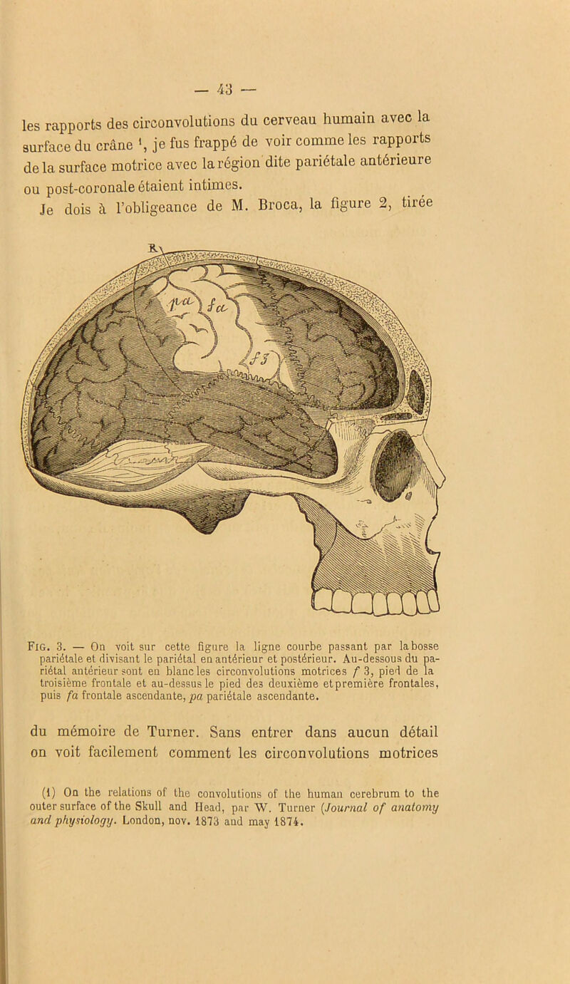 les rapports des circonvolutions du cerveau humain avec la surface du crâne je fus frappé de voir comme les rapports delà surface motrice avec la région dite pariétale antérieure ou post-coronale étaient intimes. Je dois à l’obligeance de M. Broca, la figure 2, tirée Fig. 3. — On voit sur cette figure la ligne courbe passant par la bosse pariétale et divisant le pariétal en antérieur et postérieur. Au-dessous du pa- riétal antérieur sont en blanc les circonvolutions motrices f 3, pied de la troisième frontale et au-dessus le pied des deuxième etpremière frontales, puis /a frontale ascendante, pa pariétale ascendante. du mémoire de Turner. Sans entrer dans aucun détail on voit facilement comment les circonvolutions motrices (1) On the relations of the convolutions of the human cerebrum to the outer surface ofthe Skull and Head, par W. Turner (Journal of anatomy and physiology. London, nov. 1873 and may 1874.