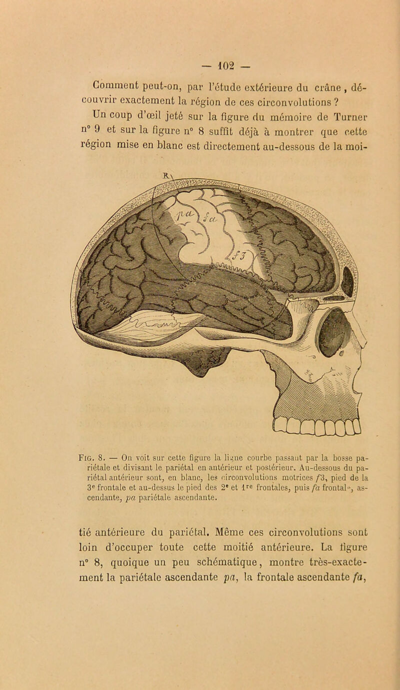 Comment peut-on, par l’étude extérieure du crâne , dé- couvrir exactement la région de ces circonvolutions ? Un coup d’œil jeté sur la figure du mémoire de Turner n® 9 et sur la figure n° 8 suffit déjà à montrer que cette région mise en blanc est directement au-dessous de la moi- Fig. 8. — On voit sur celle figure la ligne courbe passant par la bosse pa- riétale et divisant le pariétal en antérieur et postérieur. Au-dessous du pa- riétal antérieur sont, en blanc, les circonvolutions motrices /“S, pied de la 3® frontale et au-dessus le pied des 2' et fr® frontales, puis fa frontal-, as- cendante, pa pariétale ascendante. tié antérieure du pariétal. Même ces circonvolutions sont loin d’occuper toute cette moitié antérieure. La figure n® 8, quoique un peu schématique, montre très-exacte- ment la pariétale ascendante pa, la frontale ascendante fa,