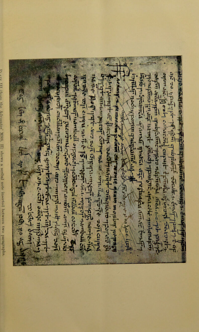 •rv ttt (from the Advocates’ MSS. II) shows a scribal note inserted between two paragraphs.