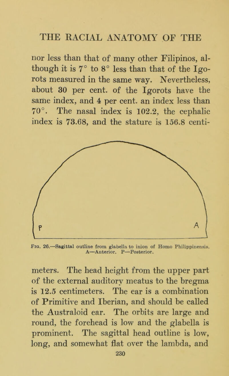 nor less than that of many other Filipinos, al- though it is 7° to 8° less than that of the Igo- rots measured in the same way. Nevertheless, about 30 per cent, of the Igorots have the same index, and 4 per cent, an index less than 70°. The nasal index is 102.2, the cephalic index is 73.68, and the stature is 156.8 centi- Fig. 26.—Sagittal outline from glabella to inion of Homo Philippinensis. A—Anterior. P—Posterior. meters. The head height from the upper part of the external auditory meatus to the bregma is 12.5 centimeters. The ear is a combination of Primitive and Iberian, and should be called the Australoid ear. The orbits are large and round, the forehead is low and the glabella is prominent. The sagittal head outline is low, long, and somewhat flat over the lambda, and