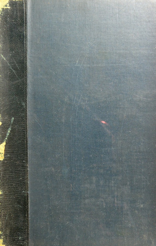 digitised image 1