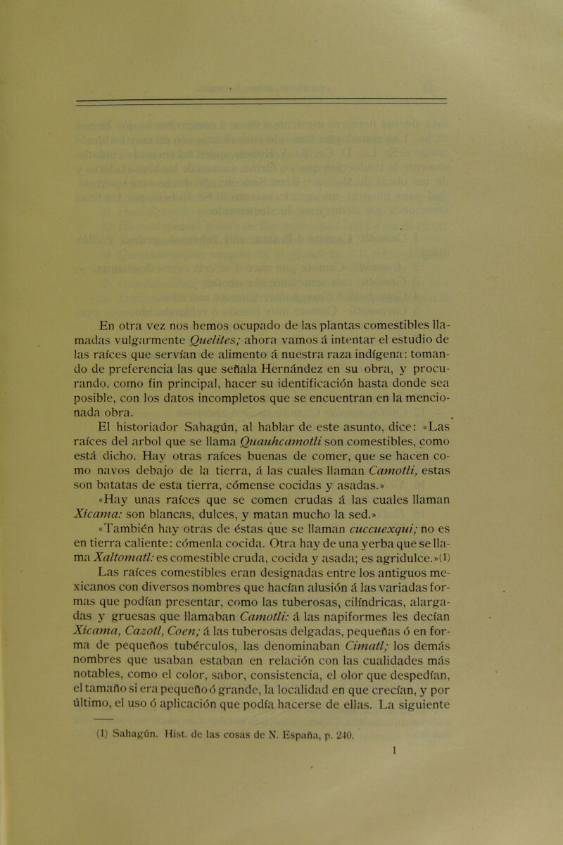 En otra vez nos hemos ocupado de las plantas comestibles lla- madas vulgarmente Quelites; ahora vamos á intentar el estudio de las raíces que servían de alimento á nuestra raza indígena: toman- do de preferencia las que señala Hernández en su obra, y procu- rando, como fin principal, hacer su identificación hasta donde sea posible, con los datos incompletos que se encuentran en la mencio- nada obra. El historiador Sahagún, al hablar de este asunto, dice: «Las raíces del árbol que se llama Quauhcamotli son comestibles, como está dicho. Hay otras raíces buenas de comer, que se hacen co- mo navos debajo de la tierra, á las cuales llaman Camotli, estas son batatas de esta tierra, cómense cocidas y asadas.» «Hay unas raíces que se comen crudas á las cuales llaman Xícama: son blancas, dulces, y matan mucho la sed.» «También hay otras de éstas que se llaman cncciiexqui; no es en tierra caliente: cómenla cocida. Otra hay de una yerba que se lla- ma Xaltomcitl: es comestible cruda, cocida y asada; es agridulce.»(l) Las raíces comestibles eran designadas entre los antiguos me- xicanos con diversos nombres que hacían alusión á las variadas for- mas que podían presentar, como las tuberosas* cilindricas, alarga- das y gruesas que llamaban Camotli: á las napiformes les decían Xicama, Cazotl, Coen; á las tuberosas delgadas, pequeñas ó en for- ma de pequeños tubérculos, las denominaban Cimatl; los demás nombres que usaban estaban en relación con las cualidades más notables, como el color, sabor, consistencia, el olor que despedían, el tamaño si era pequeño ó grande, la localidad en que crecían, y por último, el uso ó aplicación que podía hacerse de ellas. La siguiente (1) Sahagún. Hist. de las cosas de N. España, p. 240.