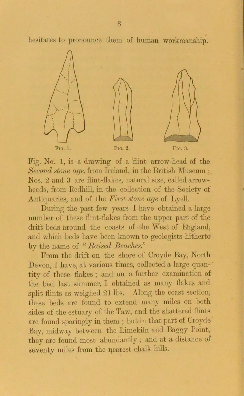 hesitates to pronounce them of human workmanship. Fig. 3. Fig. No. 1, is a drawing of a flint arrow-head of the Second stone age, from Ireland, in the British Museum ; Nos. 2 and 3 are flint-flakes, natural size, called arrow- heads, from Redhill, in the collection of the Society of Antiquaries, and of the First stone age of Lyell. During the past few years I have obtained a large number of these flint-flakes from the upper part of the drift beds around the coasts of the West of Ehgland, and which beds have been known to geologists hitherto by the name of “ Raised Beaches From the drift on the shore of Croyde Bay, North Devon, I have, at various times, collected a large quan- tity of these flakes ; and on a further examination of the bed last summer, I obtained as many flakes and split flints as weighed 21 lbs. Along the coast section, these beds are found to extend many miles on both sides of the estuary of the Taw, and the shattered flints are found sparingly in them ; but in that part of Croyde Bay, midway between the Limekiln and Baggy Point, they are found most abundantly ; and at a distance of seventy miles from the qearest chalk hills.