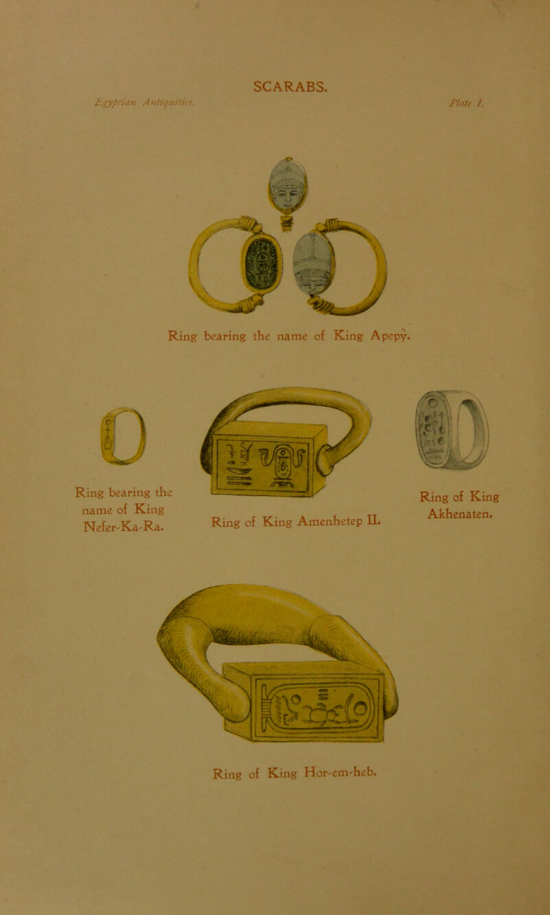 SCARABS. Egyptia >i .-/ uthfuitiis. Plate /. .'V> j#.. Ring bearing the name of King Apepy. Ring bearing the name of King Nefer'Ka-Ra. Ring of King Amenhetep II. Ring of King Akhenaten. Ring of King Hor-em-heb.