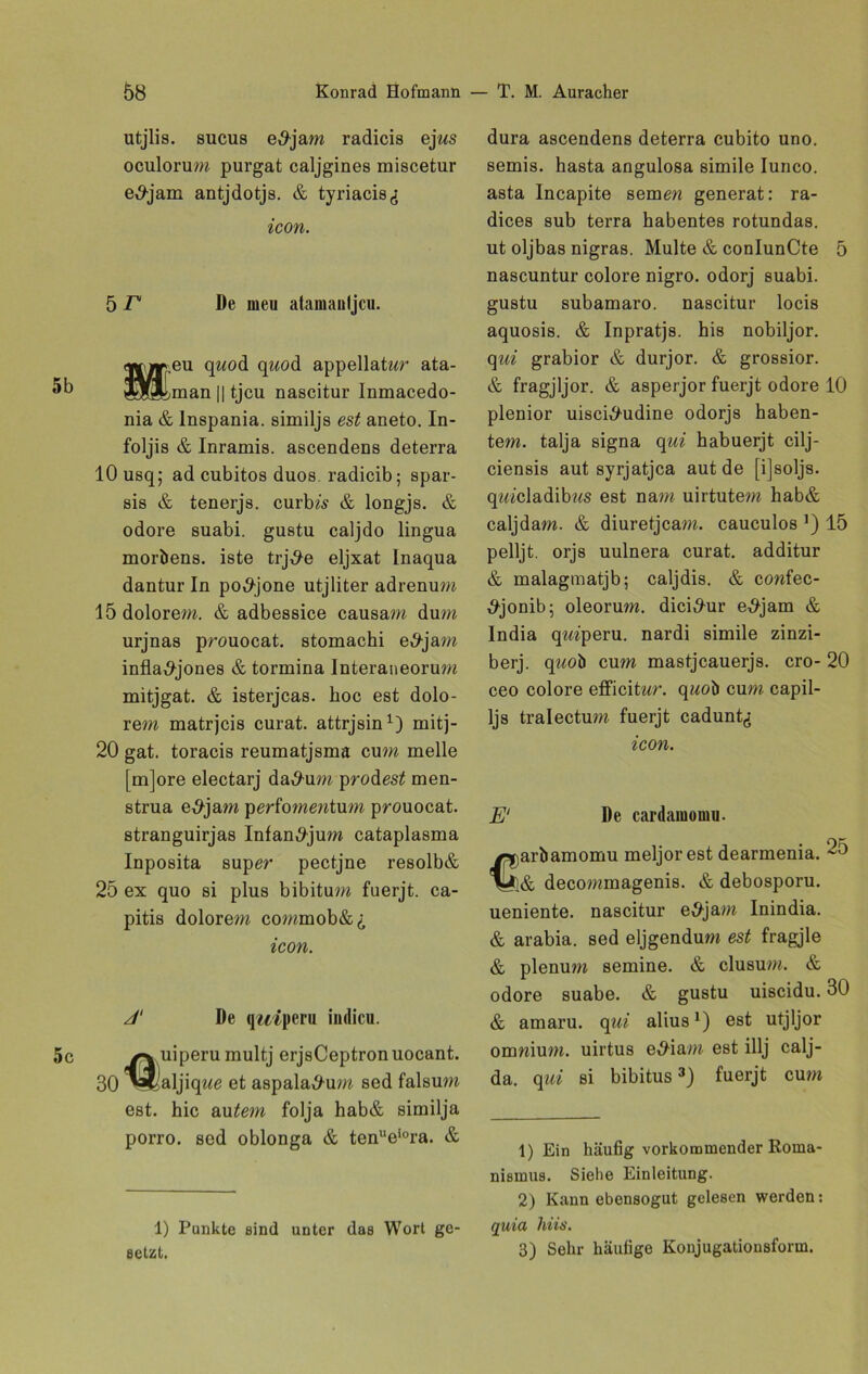 utjlis. sucus e,9jam radicis ej«s oculorum purgat caljgines miscetur e^jam antjdotjs. & tyriacis^ icon. 5 r De meu atamauljcu. eu qzrnd qwod appellatwr ata- man || tjcu nascitur Inmacedo- nia & lnspania. similjs est aneto. In- foljis & Inramis. ascendens deterra 10 usq; ad cubitos duos. radicib; spar- sis & tenerjs. curbw & longjs. & odore suabi. gustu caljdo lingua mortiens. iste trj^e eljxat Inaqua dantur In po^jone utjliter adrenum 15 dolorem. & adbessice causam dum urjnas prouocat. stomachi e#jam infla^jones & tormina Interaneorum mitjgat. & isterjcas. hoc est dolo- rem matrjcis curat, attrjsin1) mitj- 20 gat. toracis reuraatjsma cum melle [m]ore electarj da#um prodes£ men- strua e^jam porfomowtum prouocat. stranguirjas Infan^jum cataplasma Inposita super pectjne resolb& 25 ex quo si plus bibitum fuerjt. ca- pitis dolorem commob&£ icon. /T De qinperu indicu. 5c uiperu multj erjsCeptronuocant. 30 v^jaljiqwo et aspala^um sed falsum est. hic äußern folja hab& similja porro. sed oblonga & tenll 1 2eiora. & 1) Punkte sind unter das Wort ge- setzt. dura ascendens deterra cubito uno. semis. hasta angulosa simile Iunco. asta Incapite semen generat: ra- dices sub terra habentes rotundas. ut oljbas nigras. Multe & conlunCte 5 nascuntur colore nigro. odorj suabi. gustu subamaro. nascitur locis aquosis. & Inpratjs. his nobiljor. qui grabior & durjor. & grossior. & fragjljor. & asperjor fuerjt odore 10 plenior uisci^udine odorjs haben- tem. talja signa qui habuerjt cilj- ciensis aut syrjatjca aut de [ijsoljs. q?«cladib?<s est nam uirtutem hab& caljdam. & diuretjcam. cauculos *) 15 pelljt. orjs uulnera curat, additur & malagmatjb; caljdis. & cowfec- #jonib; oleorum. dici^ur e^jam & India qiaperu. nardi simile zinzi- berj. quob cum mastjcauerjs. cro- 20 ceo colore efficitwr. qwoö cum capil- ljs tralectum fuerjt cadunt^ icon. E' De cardamomu. arbamomu meljorest dearmenia. 25 & decommagenis. & debosporu. ueniente. nascitur e$jam Inindia. & arabia. sed eljgendum est fragjle & plenum semine. & clusum. & odore suabe. & gustu uiscidu. 30 & amaru. qui alius1) est utjljor onmium. uirtus e#iam est illj calj- da. qui si bibitus3) fuerjt cum 1) Ein häufig vorkommender Roma- nismus. Siehe Einleitung. 2) Kann ebensogut gelesen werden: quia hiis. 3) Sehr häufige Konjugationsform.