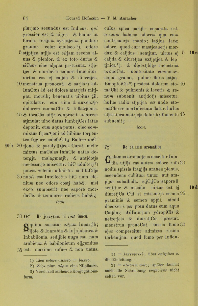 plurjmo secundus est Indicus. qui grossior est & niger. & leuior ut ferula. tertjum syrjatjcum pondere grauior. color euulseo 1). odore 5 stjptjco utjljs est e^jam recens al- uus & plenior. & ex toto durus & siCcus sine aljqua pertusura. stjp- tjco & mordaCe sapore Inuenitur. uirtus est ej caljda & diuretjca. 10 menstrua prouocat. & sarjis2) ad- IunCtus Id est dolore matrjcis mitj- gat. morsib; benenatis uibitus £ii. opitulatur. cum uino & auxen^jo dolorem stomaChi & Infla^jones. 15 & toraCis uitja conpescit uentrem stjmulat uino datus lumbrjCes latas deponit. cum aqua potus. oleo com- mixtus frjca^joni ad hibitus torpen- tes frjgore calefaCit^: Eadem unC- 10b 20 tjone & paraly || tjcos Curat. melle mixtus maCulas InfaCie natas de- tergjt. malagmatjb; & antjdotjs necessarje miscetur. hiC adulterj3) potest «elenio admisto. sed faCiljs 25 nob«s est Intellectus hiC nam ele- nium nec odore costj hab&. nisi exeo sumpserit nec sapore mor- daCe. & tenuiores radices hab&,; icon. 30 IE1 De jsqmnu. i<l est iuncii. quinu nascitur e,*>jam Inpartjb; ljbie & Inarabia & In[n]abatea & Inbabilonia. sedljbie nuga est. nam arabicum & babilonicum eljgenduw 35 est. maxime rufum & non uetus. 1) Lies colore uusseo = buxeo. 2) Hü()i plur. oaQirt eine Nilptlanze. 3) Vereinzelt stehende Konjugations- form. culus spica partjb; separata est. roseum habens odorem qua cum confrjcuerjs manib; la^jus Iac& odore. quod cum mastjcauerjs mor- dax & caljdus l| sentjtur. uirtus ej 5 caljda & diuretjca extjptjca & lep- tjnica1). & digestjbiljs menstrua prouoCat. uentositate conmou&. caput grauat. puluer floris Istjus. EmoptoiCis2) prodest dolorem sto- 10 maChi & pulmonis & Iecoris & re- num subuenit antjdotjs miscetur. hulus radix stjptjca est unde sto- maCho reumalnfestato datur. hulus eljssatura matrjcjs dolorjb ; fomento 15 subuenit^ icon. lg De calauni aromalicu. alamus aromatjcus nascitur Inin- dia utjljs est autem colore rufo 20 nodis spissis fragjljs aranea plenus. ascendens cubitum unum aut am- pljus subalbida. stjCtjCo sapore || sentjtur & uiscido. uirtus est ej diuretjCa Cui si miscuerjs semen 25 graminis & semen appii. simul decoxerjs per potu datus cum aqua CaljdaAdlutorjum ydropiCis & nefretjcis & diuretjCis prestat. menstrua prouoCat. tussis fumo 30 ejws compescitur admixta resina terbentjna. quod fumo per Infidu- 1) = kenTWTixT]; über extiptica s. die Einleitung. 2) = ctt{iomvixoi$; später kommt auch die Schreibung emptoicus nicht selten vor.