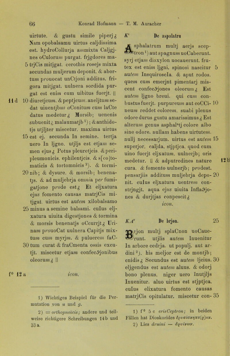 uirtute. & gustu simile piperj Nam opobalsamu uirtus caljdissima est. hydroCollurja ammixta Caljgj- nes oCulorum purgat. frjgdores ma- 5 trjCis mitjgat. cerothis rosejs mixta secundas muljerum deponit. & abor- tum prouocat unCtjoni additus. fri- gora mitjgat. uulnera sordida pur- gat est enim cum uibitus fuerjt. || li d 10 diuretjcum. &peptjcum. aneljtumse- dat uiuentjbws aConitum cum laCte datus medetur^ Morsib; uenenis subuenit^ malaumatjbx); &anthido- tjs utjljter miscetur. maxima uirtus 15 est ej. secunda In semine. tertja uero In ljgno. utjljs est etjam se- inen ejus^ Potus pleuretjcis. &peri- pleumonicis. ephilentjcis. &s[co)to- maticis & tortomnicis 1 2). & tormi- 20nib; & dysure. & morsib; benena- tjs. & ad muljebrja omm'a per fumi- gatjone prode est^ Et eljxatura ejws fomento causas matrjCis mi- tjgat. uirtus est au^rn xilobalsamo 25 minus a semine balsami. culus elj- xatura uiuita digestjones & tormina & morsis benenatjs oCcurrjt^ Uri- nam prouoCat uulnera Capitjs mix- tum cum myrjm. & puluerem faC- 30 tum curat & fraCmenta ossis excu- tjt. miscetur etjam confec^jonibus oleorum^ II f° 12 a icon. 1) Wichtiges Beispiel für die Per- mutation von u und g. 2) = orthopnoicis; andere und teil- weise richtigere Schreibungen 14 b und 33 a. K‘ De aspalalru sphalatrum multj aerjs scep- tronx) aut spagnumuoCaberunt. syrj etjam diaxylon uocauerunt. fru- tex est enim Ijgni. spinosi nascitur 5 autem Insquiroscla. & aput rodos. quem cum emerjnt pimentarj mis- cent confec^jones oleorum,; Est autem ljgno breui. qui cum con- bustus fuerjt. purpureum aut coCCi-10 ueum reddet colorem. suabi plenus odoredurus gustu amarissimus <; Est alterum genus asphaPtj colore albo sine odore. nullam habens uirtutem. nullj necessarjum. uirtus est autem 15 superjor. caljda. stjptjca. quod cum uino fuerjt eljxatum. uulnerjb; oris medetur. II & adputredines nature 12 cura. & fomento uulnerjb; prodest. pensarjiis additum muljebrja depo- 20 nit. culus eljxatura uentrem con- strjngjt. aqua ej^^s uiuita Infla^-jo- nes & durjtjas conpescit,: icon. KA‘ De brjon. 25 rjon multj splaCnon uoCaue- runt. utjlis au tem Inuenitur In arbore cedrja. ut populj. aut ar- dini2J. his meljor est de montjb; enidis^ Secundus est au tem Ijcius. 30 eljgendus est au tem aluus. & odorj bono plenus. niger uero Inutjljs Inuenitur. aluo uirtus est stjptjca. culus elixatura fomento causas matrjCis opitulatur. miscetur con- 35 1) f° 5 c erisCeptron; in beiden Fällen hat Dioskorides tgvaioxrjnr^ov. 2) Lies druini — d'Qvtvwv.