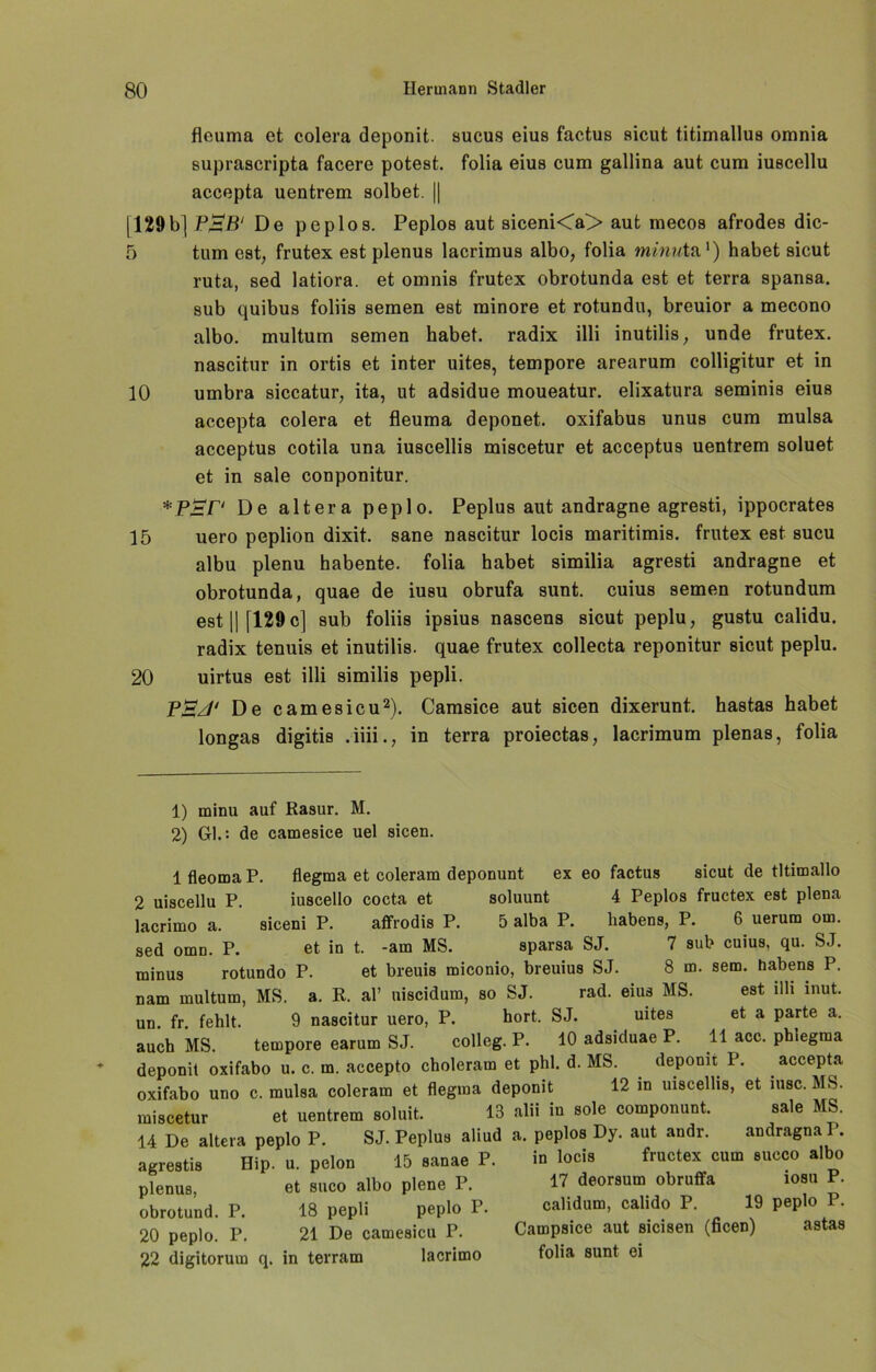 fleuma et colera deponit. sucus eius factus sicut titimallus omnia suprascripta facere potest. folia eius cum gallina aut cum iuscellu accepta uentrem solbet. || [129bj P^B1 De peplos. Peplos aut siceni<a> aut mecos afrodes dic- 5 tum est, frutex est plenus lacrimus albo, folia minutn1) habet sicut ruta, sed latiora. et omnis frutex obrotunda est et terra spansa. sub quibus foliis Semen est minore et rotundu, breuior a mecono albo. multum semen habet, radix illi inutilis, unde frutex. nascitur in ortis et inter uites, tempore arearum colligitur et in 10 umbra siccatur, ita, ut adsidue moueatur. elixatura seminis eius accepta colera et fleuma deponet. oxifabus unus cum mulsa acceptus cotila una iuscellis miscetur et acceptus uentrem soluet et in sale conponitur. *PgP De altera peplo. Peplus aut andragne agresti, ippocrates 15 uero peplion dixit. sane nascitur locis maritimis. frutex est sucu albu plenu habente. folia habet similia agresti andragne et obrotunda, quae de iusu obrufa sunt, cuius semen rotundum est || [129 c] sub foliis ipsius nascens sicut peplu, gustu calidu. radix tenuis et inutilis. quae frutex collecta reponitur sicut peplu. 20 uirtus est illi similis pepli. P£/J‘ De camesicu2). Camsice aut sicen dixerunt. hastas habet longas digitis .iiii., in terra proiectas, lacrimum plenas, folia 1) minu auf Rasur. M. 2) Gl.: de camesice uel sicen. lfleomaP. flegrna et coleram deponunt ex eo factus sicut de tltimallo 2 uiscellu P. iuscello cocta et soluunt 4 Peplos fructex est plena lacrimo a. siceni P. affrodis P. 5 alba P. habens, P. 6 uerum om. sed omn. P. et in t. -am MS. sparsa SJ. 7 sub cuius, qu. SJ. minus rotundo P. et breuis miconio, breuius SJ. 8 m. sem. habens P. nam multum, MS. a. R. aP uiscidum, so SJ. rad. eius MS. est illi inut. un. fr. fehlt. 9 nascitur uero, P. hört. SJ. uites et a parte a. auch MS. tempore earum SJ. colleg. P. 40 adsicluae P. 11 acc. phiegma deponit oxifabo u. c. m. accepto choleram et phl. d. MS. deponit P. accepta oxifabo uno c. mulsa coleram et flegrna deponit 12 in uiscelhs, et msc. MS. miscetur et uentrem soluit. 13 alii in sole componunt. sale MS. 14 De altera peplo P. SJ. Peplus aliud a. peplos Dy. aut andr. andragnaP. agrestis Hip. u. pelon 15 sanae P. in locis fructex cum succo albo plenus, et suco albo plene P. obrotund. P. 18 pepli peplo P. 20 peplo. P. 21 De camesicu P. 22 digitorum q. in terram lacrimo 17 deorsum obruffa iosu P. calidum, calido P. 19 peplo P. Campsice aut sicisen (ficen) astas folia sunt ei