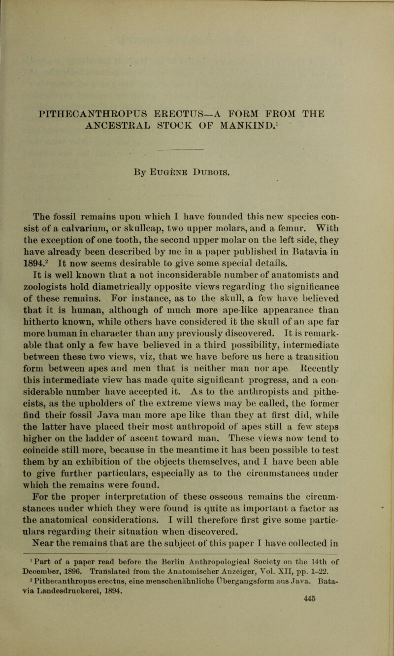 PITHECANTHROPUS ERECTUS—A FORM FROM THE ANCESTRAL STOCK OF MANKIND.^ By Eugene Dubois. The fossil remains upon which I have founded this new species con- sist of a calvarium, or skullcap, two upper molars, and a femur. With the exception of one tooth, the second upper molar on the left side, they have already been described by me in a paper published in Batavia in 1894.^ It now seems desirable to give some special details. It is well known that a not inconsiderable number of anatomists and zoologists hold diametrically opposite views regarding the significance of these remains. For instance, as to the skull, a few have believed that it is human, although of much more ape like appearance than hitherto known, while others have considered it the skull of an ape far more human in character than any previously discovered. It is remark- able that only a few have believed in a third i)ossibility, intermediate between these two views, viz, that we have before us here a transition form between apes and men that is neither man nor ape. Recently this intermediate view has made quite significant progress, and a con- siderable number have accepted it. As to the anthropists and pithe- cists, as the upholders of the extreme views may be called, the former find their fossil Java man more ape like than they at first did, while the latter have placed their most anthropoid of apes still a few ste[)s higher on the ladder of ascent toward man. These views now tend to coincide still more, because in the meantime it has been possible to test them by an exhibition of the objects themselves, and I have been able to give further particulars, especially as to the circumstances under which the remains were found. For the proper interpretation of these osseous remains the circum- stances under which they were found is quite as important a factor as the anatomical considerations. I will therefore first give some partic- ulars regarding their situation when discovered. Near the remains that are the subject of this paper I have collected in ’ Part of a paper read before tbe Berlin Anthropological Society on the 14th of December, 1896. Translated from the Anatomischer Anzeiger, Vol. XII, pp. 1-22. Pithecanthropus erectus, eine menscheniihnliche tibergangsform aus Jav^a. Bata- via Landesdruckerei, 1894.