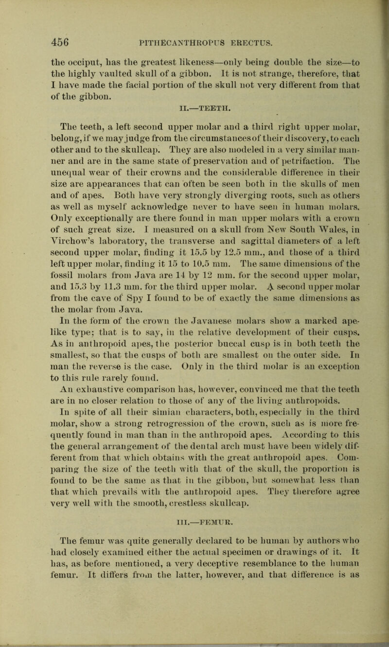 the occiput, has tlie greatest likeness—only being double the size—to the highly vaulted skull of a gibbon. It is not strange, therefore, that I have made the facial portion of the skull not very different from that of the gibbon. II.—TEETH. The teeth, a left second upper molar and a third right upper molar, belong, if we may judge from the circumstances of their discovery, to each other and to the skullcap. They are also modeled in a very similar man- ner and are in the same state of preservation and of petrifaction. The unequal wear of their crowns and the considerable difference in their size are appearances that can often be seen both in the skulls of men and of apes. Both have very strongly diverging roots, such as others as well as myself acknowledge never to have seen in human molars. Only exceptionally are there found in man upper molars with a crown of such great size. I measured on a skull from New South Wales, in Virchow’s laboratory, the transverse and sagittal diameters of a left second upper molar, finding it 15.5 by 12.5 mm., and those of a third left upj)er molar, finding it 15 to 10.5 mm. The same dimensions of the fossil molars from Java are 14 by 12 mm. for the second upper molar, and 15.3 by 11.3 mm. for the third upper molar. ^ second upper molar from the cave of Spy I found to be of exactly the same dimensions as the molar from Java. In the form of the crown the Javanese molars show a marked ape- like type5 that is to say, in the relative development of their cusps. As in anthropoid apes, the posterior buccal cusp is in both teeth the smallest, so that the cusps of both are smallest on the outer side. In man the reverse is the case. Only in the third molar is an exception to this rule rarely found. An exhaustive comparison has, however, convinced me that the teeth are in no closer relation to those of any of the living anthropoids. In spite of all their simian characters, both, especially in the third molar, show a strong retrogression of the crown, such as is more fre- quently found in man than in the anthropoid apes. According to this the general arrangement of the dental arch must have been widely dif- ferent from that which obtains with the great anthropoid apes. Com- paring the size of the teeth with that of the skull, the proportion is found to be the same as that in the gibbon, but somewhat less than that which prevails with the anthropoid apes. The}^ therefore agree very well with the smooth, crestless skullcap. HI.—FEMUR. The femur was quite generally declared to be human by authors who had closely examined either the actual specimen or drawings of it. It has, as before mentioned, a very deceptive resemblance to the human femur. It differs from the latter, however, and that difference is as