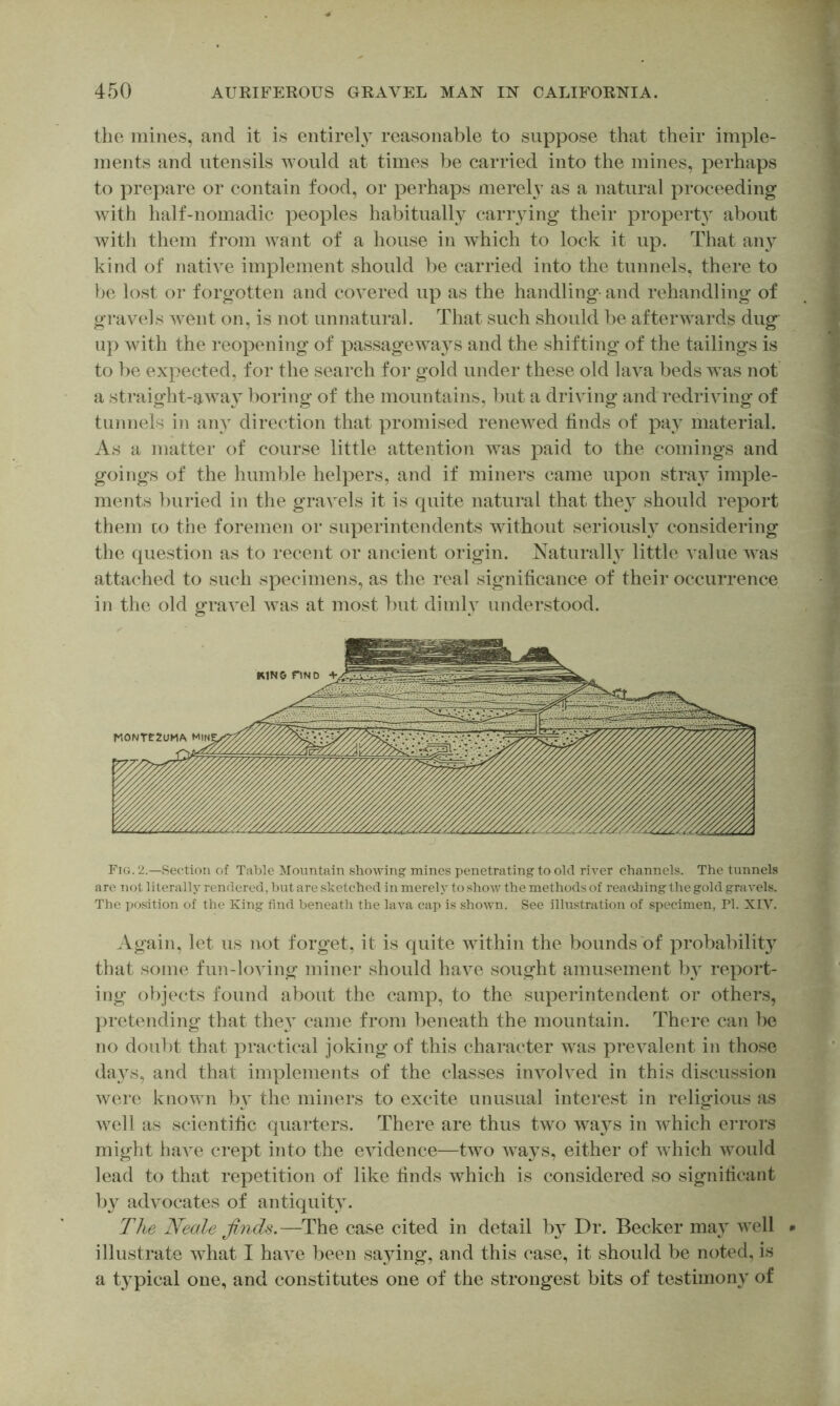 the mines, and it is entirely reasonable to suppose that their imple- ments and utensils would at times be carried into the mines, perhaps to prepare or contain food, or perhaps merely as a natural proceeding with half-nomadic peoples habitually cariying their property about with them from want of a house in which to lock it up. That any kind of natiAX implement should be carried into the tunnels, there to )>e lost or forgotten and covered up as the handling-and rehandling of gravels went on, is not unnatural. That such should be afterwards dug up with the reopening of passageways and the shifting of the tailings is to be expected, for the search for gold under these old lava beds w^as not a straight-away l)oring of the mountains, but a driving and redriving of tunnels in any direction that promised renewed finds of pay material. As a matter of course little attention was paid to the comings and goings of the humble helpers, and if miners came upon stray imple- ments l)uried in the gravels it is quite natural that the} should report them to the foremen or superintendents without seriously considering the question as to recent or ancient origin. Naturally little value was attached to such specimens, as the real significance of their occurrence in the old gravel was at most but dimly understood. Fig. 2.—Section of Table Mountain showing mines penetrating to old river channels. The tunnels are not literally rendered, Init are sketched in merely to show the methods of reacJiing the gold gravels. The })Osition of the King find beneath the lava cap is shown. See illustration of specimen, PI. XIV. Again, let us not forget, it is quite within the bounds of probability that some fun-loving miner should have sought amusement by report- ing objects found about the camp, to the superintendent or others, pretending that they came from beneath the mountain. There can be no doul)t that practical joking of this character was prevalent in those days, and that implements of the classes involved in this discussion were known by the miners to excite unusual interest in religious as well as scientific quarters. There are thus tw0 ways in which errors might have crept into the evidence—two ways, either of which would lead to that repetition of like finds which is considered so significant by advocates of antiquity. The Neale finds.—The case cited in detail by Dr. Becker may well * illustrate what I have been saying, and this case, it should be noted, is a typical one, and constitutes one of the strongest bits of testimony of