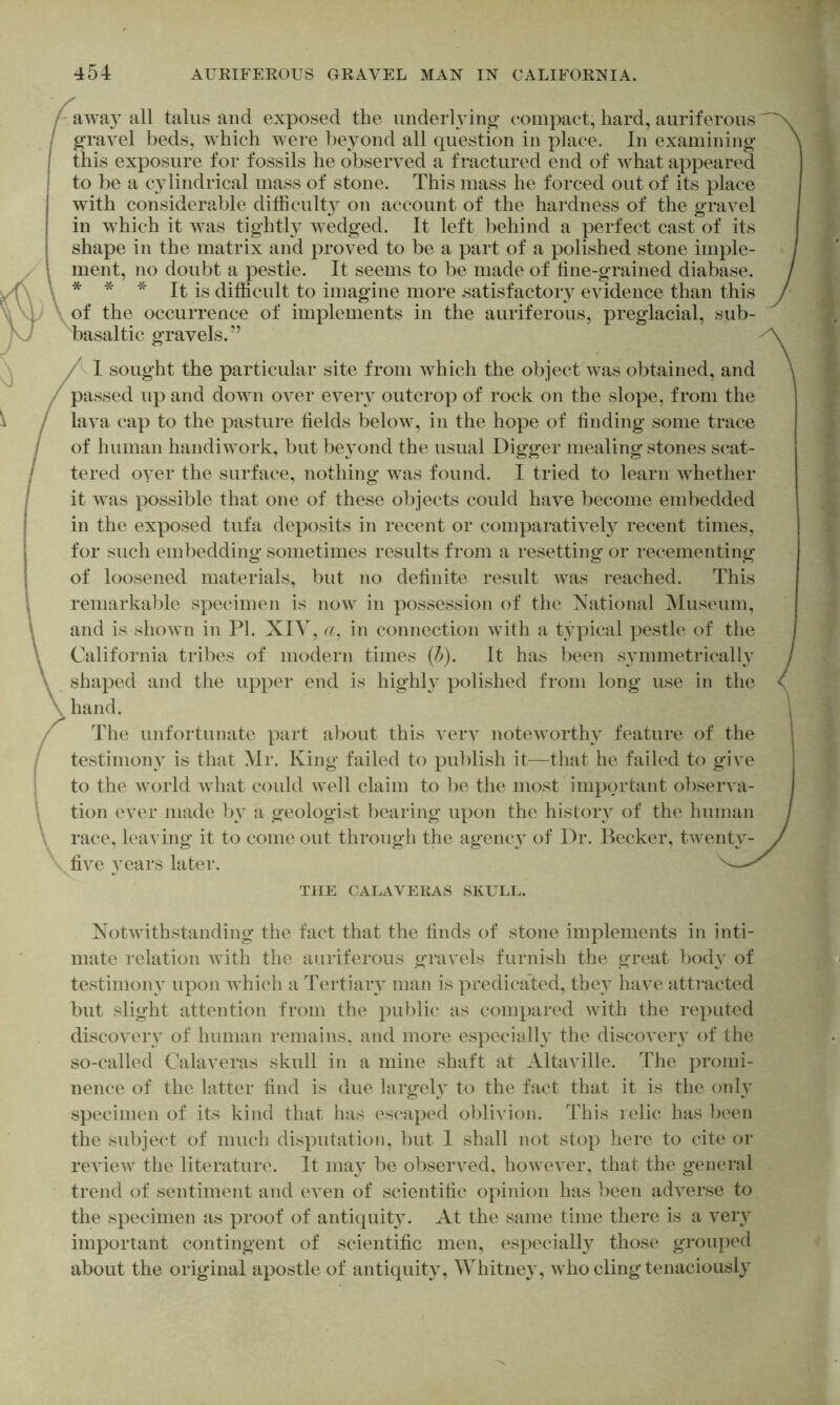 awa}^ all talus and exposed the underlying compact, hard, auriferous gravel beds, which were lieyond all question in place. In examining this exposure for fossils he observed a fractured end of what appeared to be a cylindrical mass of stone. This mass he forced out of its place with considerable difficulty on account of the hardness of the gravel in which it was tightly wedged. It left behind a perfect cast of its shape in the matrix and proved to be a part of a polished stone imple- ment, no doubt a pestle. It seems to be made of tine-grained diabase. * * * It is difficult to imagine more satisfactory evidence than this of the occurrence of implements in the auriferous, preglacial, sub- basaltic gravels.’’ I sought the particular site from which the object was obtained, and passed up and down over every outcrop of rock on the slope, from the lava cap to the pasture fields below, in the hope of finding some trace of human handiwork, but beyond the usual Digger mealing stones scat- tered oyer the surface, nothing was found. I tried to learn whether it was possible that one of these objects could have become embedded in the exposed tufa deposits in recent or comparatively recent times, for such embedding sometimes results from a resetting or recementing of loosened materials, but no definite result was reached. This remarkable specimen is now in possession of the National Museum, and is shown in PI. XIV, a. in connection with a typical pestle of the California tribes of modern times {h). It has been symmetrically shaped and the upper end is highly polished from long use in the hand. The unfortunate part about this very noteworthy feature of the testimony is that Mr. King failed to publish it—that he failed to give to the world what could well claim to be the most important observa- tion ever made by a geologist bearing upon the history of the human race, leaving it to come out through the agency of Dr. Becker, twenty- five 3^ears later. THE CALAVERAS SKULL. Notwithstanding the fact that the finds of stone implements in inti- mate relation with the auriferous gravels furnish the great body of testimon}^ upon which a Tertiaiy man is predicated, the} have attracted but slight attention from the public as conipared with the reputed discover} of human remains, and more especially the discovery of the so-called Calaveras skull in a mine shaft at Altaville. The promi- nence of the latter find is due largely to the fact that it is the ordy specimen of its kind that has escaped oblivion. This relic has been the subject of much disputation, l)ut I shall not stop here to cite or review the literature. It may be observed, however, that the general trend of sentiment and even of scientific opinion has been adverse to the specimen as proof of antiquity. At the same time there is a very important contingent of scientific men, especially those grouped about the original apostle of antiquity, Whitney, who cling tenaciously