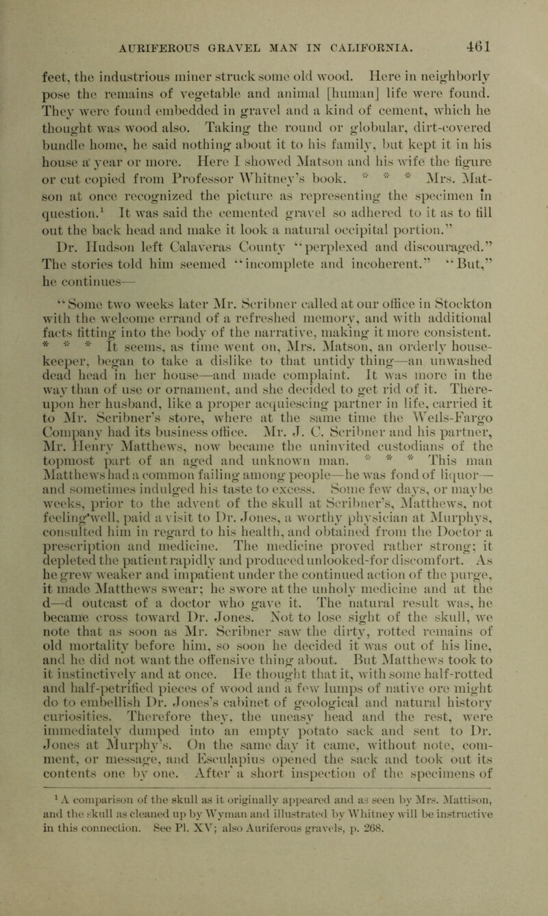 feet, the industrious miner struck some old wood. Here in neig’hborly pose the remains of vegetable and animal [humanj life were found. They Avere found embedded in gravel and a kind of cement, Avhicli he thought Avas Avood also. Taking the round or globular, dirt-covered bundle home, he said nothing about it to his famiH, but kept it in his house a' yaav or more. Here I shoAved Matson and his Avife the tigure or cut copied from Professor Whitney’s book. Mrs. Mat- son at once recognized the picture as representing the specimen In question.^ It Avas said the cemented gravel so adhered to it as to till out the back head and make it look a natural occipital portion.” Dr. Hudson left Calaveras Countv ''perplexed and discouraged.” The stories told him seemed incomplete and incoherent.” But,” he continues—  Some tAvo AA^eeks later Mr. Scribner called at our office in Stockton with the Avelcome errand of a refreshed memory, and Avith additional facts fitting into the body of the narrative, making it more consistent. * * It seems, as time Avent on, Mrs. Matson, an orderly house- keeper, began to take a dislike to that untidy thing—an unwashed dead head in her house—and made complaint. It Avas more in the way than of use or ornament, and she decided to get rid of it. There- upon her husband, like a proper acquiescing partner in life, carried it to Mr. Scribner’s store, where at the same time the AVells-Fargo Companv had its business office. Mr. J. C. Scribner and his partner, Mr. Henry Matthews, noAV became the uninvited custodians of the topmost part of an aged and unknoAvn man.  * This man Matthews had a common failing among people—he Avas fond of liquor— and sometimes indulged his taste to excess. Some few daA^s, or maAdje Aveeks, prior to the advent of the skull at Scribner’s, MattheAVs, not feeling’Avell, paid a visit to Dr. Jones, a AAmrtli}^ physician at Murphys, considted him in regard to his health, and obtained from the Doctor a prescription and medicine. The medicine proved rather strong; it depleted the patient rapidly and produced unlooked-for d iscomfort. As hegreAv Aveaker and impatient under the continued action of the purge, it made Matthews swear; he sAvore at the unholy medicine and at the d—d outcast of a doctor avIio gave it. The natural result was, he became cross toAvard Dr. Jones. Xot to lose sight of the skull, Ave note that as soon as Mr. Scribner saw the dirty, rotted remains of old mortality before him, so soon he decided it AA^as out of his line, and he did not Avantthe otfensive thing about. But MattheAVS took to it instinctiAvly and at once. He thought that it, Avith some half-rotted and half-petrified pieces of wood and a fcAA^ lumps of native ore might do to emlxdlish Dr. Jones’s cabinet of geological and natural history curiosities. Therefore they, the uneasy head and the rest, Avere immediately dumped into an empty potato sack and sent to Dr. Jones at Murphy’s. On the same day it came, without note, com- ment, or message, and Ksculapius opened the sack and took out its contents one 1)A one. After' a short inspection of’ the specimens of ^ A comparison of the skull as it originally appeared and as seen by Mrs. Mattison, and the skull as cleaned up by AVyinan and illustrated by AVhitney will be instructiA^e in this conneclion. See PI. XV; also Auriferous gravels, p. 268.