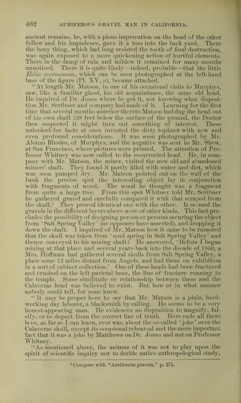 ancient remains, he, with a pious imprecation on the head of the other fellow and his impudence, gave it a toss into the back yard. There the bony thing, which had long resisted the tooth of final destruction, was again exposed to a more quickening action of hurtful elements. There in the damp of rain and mildew it remained for maiw months unnoticed. There it is quite likely—indeed, probable—that the little Helix mormonmn^ which can be seen photographed at the left-hand base of the figure (PI. XV, became attached. ‘‘At length Mr. Matson, in one of his occasional visits to Murphys, saw, like a familiar ghost, his old acquaintance, the same old head. He inquired of Dr. Jones whore he got it, not knowing what disposi- tion Mr. Scribner and company had made of it. Learning for the first time that several months anterior thereto Matson had dug the head out of his own shaft 128 feet below the surface of the ground, the Doctor then suspected it might turn out something of interest. These unlooked-for facts at once invested the dirty topknot with new and even profound considerations. It was soon photographed b} jMr. Alonzo Rhodes, of Murphys, and the negative was sent to Mr. Shew, at San Francisco, where pictures were printed. The attention of Pro- fessor AYhitney was now called to the resurrected head. He, in com- pany with Mr. Matson, the miner, visited the now old and abandoned miners’ shaft. They found it partH filled with water and dirt, which was soon pumped dry. Mr. Matson pointed out on the wall of the bank the precise spot the interesting object lay in conjunction with fragments of wood. The wood he thought was a fragment from quite a large tree. From this spot AVhitney told Mr. Scribner he gathered gravel and carefully compared it with that scraped from the skull.^ They proved identical one with the other. It se?med the gravels in the ditferent layers above were of other kinds. This fact pre- cludes the possibility of designing person or persons securing the object from ‘Salt Spring Valley ’ (as opposers have asserted), and dropping it down the shaft. 1 inquired of ^Ir. Matson how it came to be rumored that the skull was taken from ‘mud spring in Salt Spring Valley’ and thence conveyed to his mining shafts He answered, Hlefore I began mining at that place and several years back into the decade of 1850, a Mrs. Hofi'man had gathered several skulls from Salt Spring Valley, a place some 12 miles distant from Angels, and had them on exhibition in a sort of cabinet collection:’ One of these heads had been fractured and crushed on the left parietal bone, the line of fracture running to the temple. Some similitude or relationship between these and the Calaveras head was believed to exist. But how or in what manner nobody could tell, for none knew. “It ma}^ be proper here to say that Mr. Matson is a plain, hard- working day laborer, a blacksmith by calling. He seems to be a A^ery honest-appearing man. He evidences no disposition to magnify, fal- sify, or to depart from the correct line of truth. Here ends all there is or, as far as 1 can learn, ei^erwas, about the so-called ‘joke’ OA^er the Calaveras skull, except its occasional rehearsal and the more important fact that it was a joke by MattheAvs on Dr. Jones and not on Professor Whitney. “As mentioned aboA^e, the animus of it was not to plaA upon the spirit of scientific inquiry nor to deride natWe anthropological studA^, Compare with “Auriferous gravels,” p. 271.