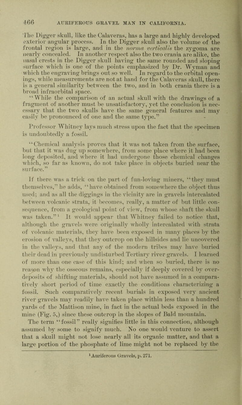 The Digger skull, like the Calaveras, has a large and highly developed exterior angular process. In the Digger skull also the volume of the frontal region is large, and in the norma verticalis the zygoma are )iearly concealed. In another respect also the two crania are alike, the )iasal crests in the Digger skull having the same rounded and sloping surface which is one of the points emphasized by Dr. Wyman and which the engraving brings out so well. In regard to the orbital open- ings, while measurements are not at hand for the Calaveras skull, there is a general similarity between the two, and in both crania there is a broad infraorbital space. ‘‘While the comparison of an actual skull with the drawings of a fragment of another must be unsatisfactory, yet the conclusion is nec- essary that the two skulls have the same general features and may easily be pronounced of one and the same type.” Professor Whitney lays much stress upon the fact that the specimen is undoubtedly a fossil. “Chemical anal}sis proves that it was not taken from the surface, but that it was dug up somewhere, from some place where it had been long deposited, and where it had undergone those chemical changes which, so far as known, do not take place in objects buried near the surface.” If there was a trick on the part of fun-loving miners, “the}^ must themselves,” he adds, “have ol)tained from somewhere the object thus used; and as all the diggings in the vicinity are in gravels intercalated between volcanic strata, it becomes, really, a matter of but little con- sequence, from a geological point of view, from whose shaft the skull was taken.” ^ It would appear that Whitne}^ failed to notice that, although the gravels were originally wholly intercalated with strata of volcanic materials, they have been exposed in many places b} the erosion of valle3s, that the} outcrop on the hillsides and lie uncovered in the valle^^s, and that any of the modern tribes ma\ have buried their dead in previously undisturbed Tertiaiy river gravels. I learned of more than one case of this kind; and when so buried, there is no reason why the osseous remains, especially if deeply covered by over- deposits of shifting materials, should not have assumed in a compara- tivel}^ short period of time exact!}/ the conditions characterizing a fossil. Such comparative!} recent burials in exposed very ancient river gravels may readily have taken place within less than a hundred yards of the Mattison mine, in fact in the actual beds exposed in the mine (Fig. 5,) since these outcrop in the slopes of Bald mountain. The term “fossil” really signifies little in this connection, although assumed by some to signify much. No one would venture to assert that a skull might not lose nearly all its organic matter, and that a large portion of the phosphate of lime might not be replaced by the ^Auriferous Gravels, p. 271.