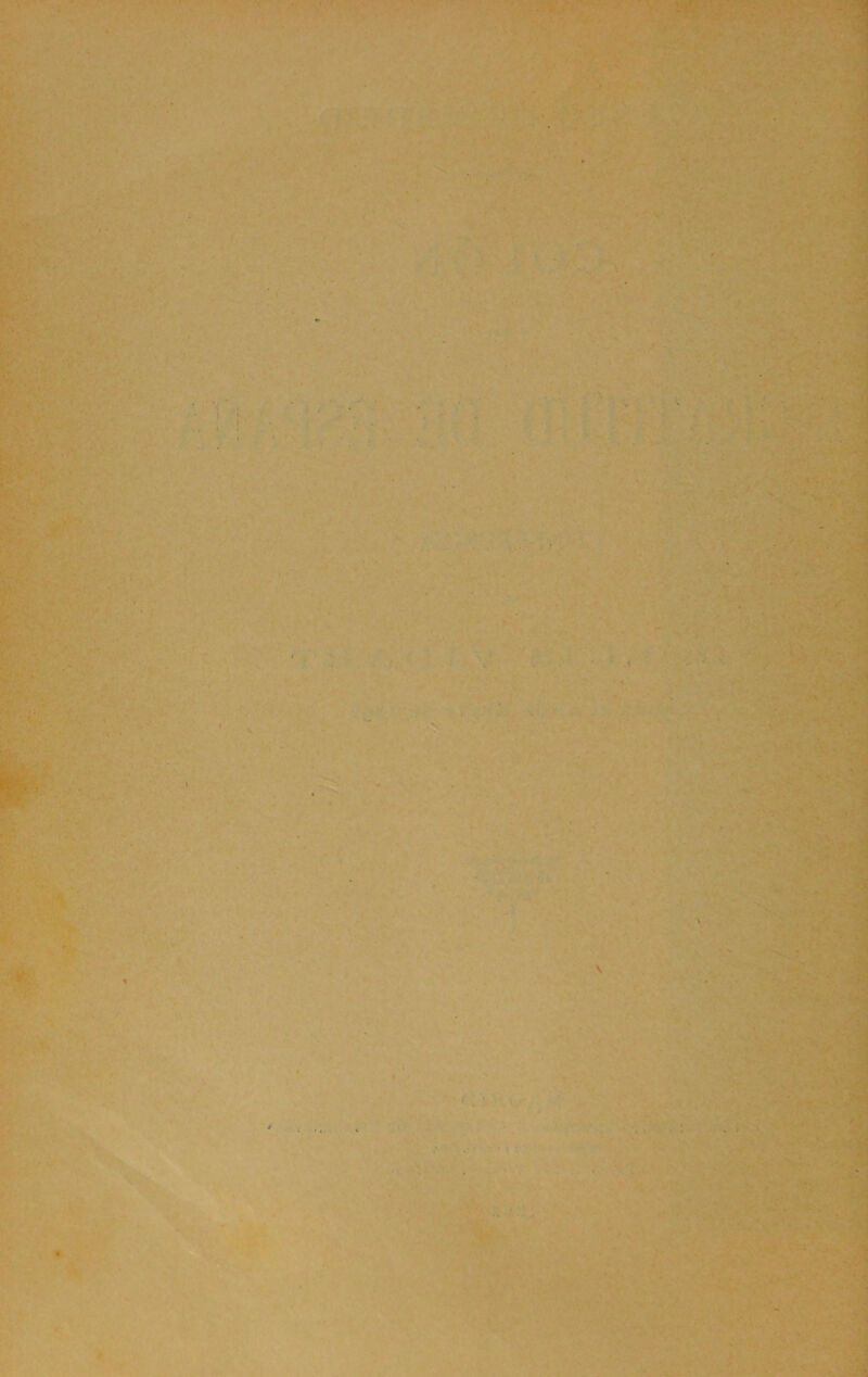 ! i I /'■ \ á ■ i \ 4 i *4