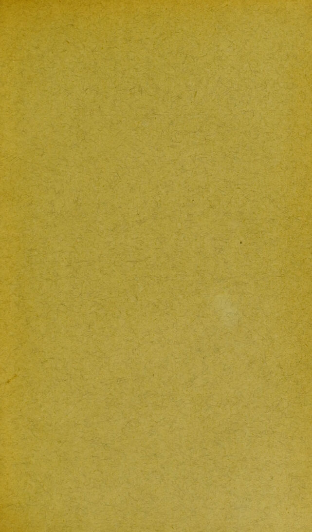 digitised image 3