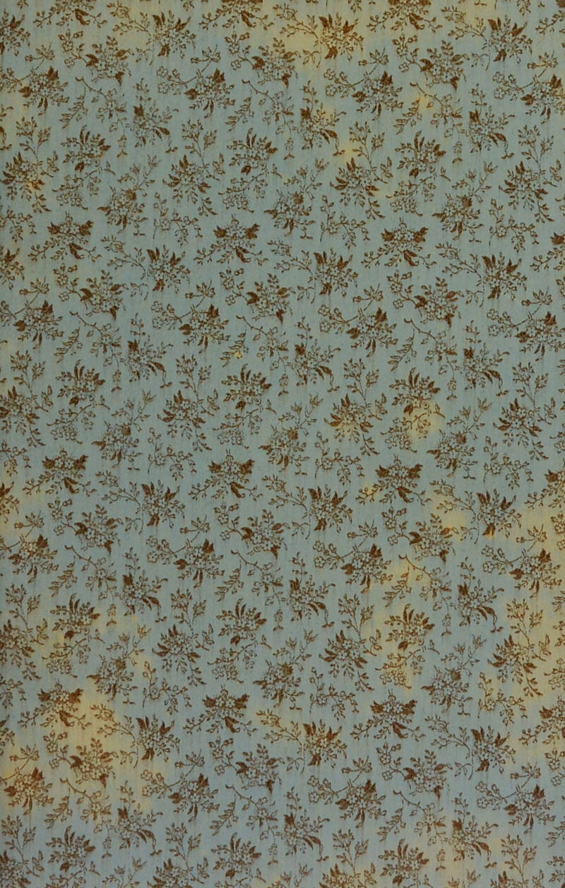 m“2Sr- * HÄ '■ Vä5 *•.*•