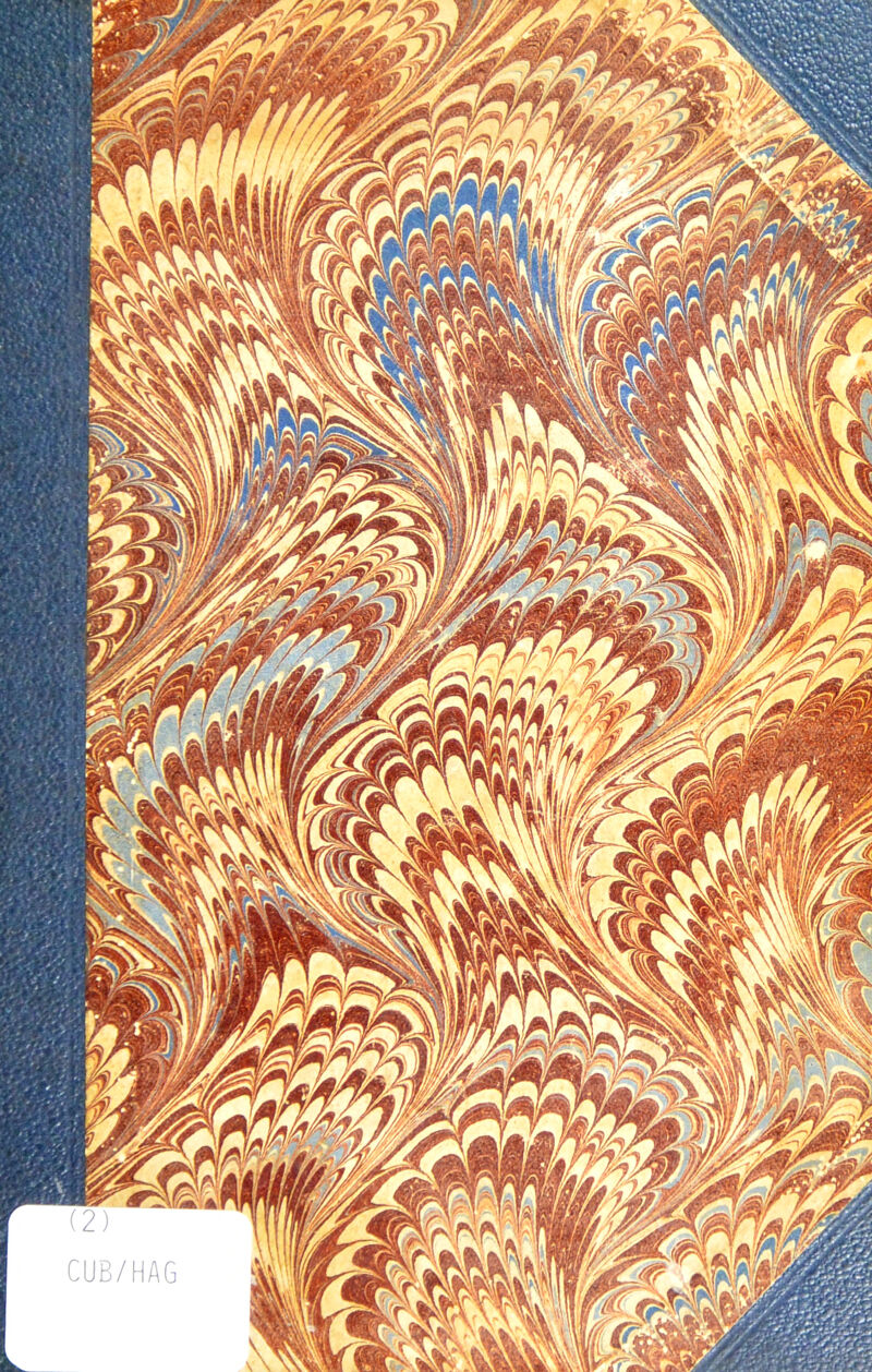 CUB/HAG ft \\avJS? a X 'n