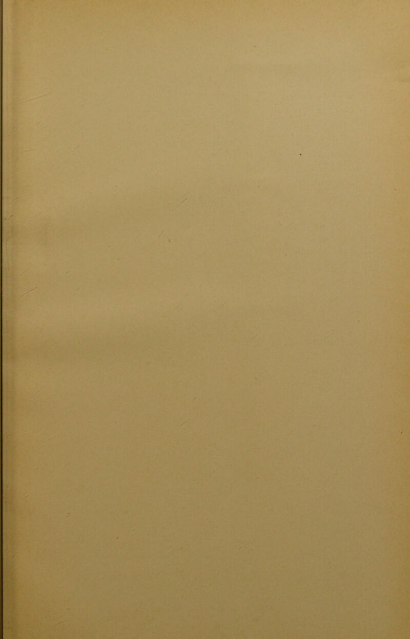 J < f ! •• /v^ ti