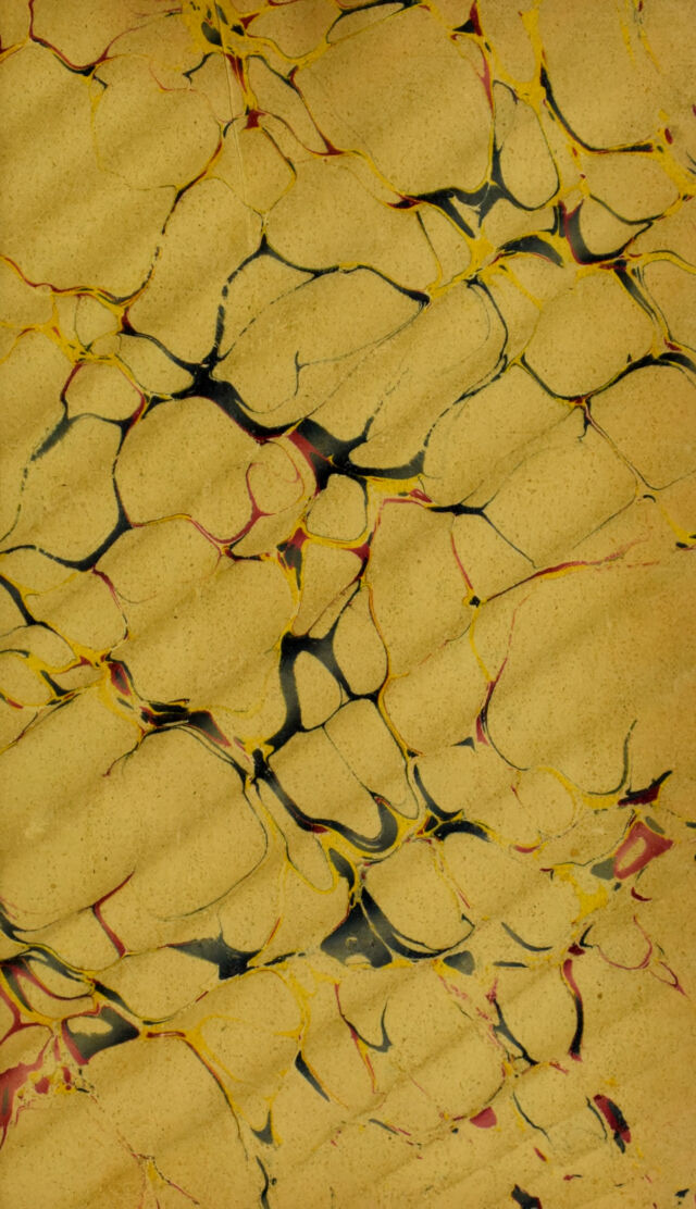 digitised image 3