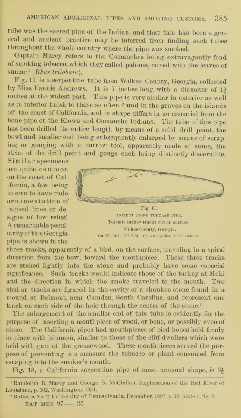 tube was the sacred pipe of the Indian, and that this has been a gen- eral and ancient practice may be inferred from finding such tubes throughout the whole country where the pipe was smoked. Captain Marcy refers to the Comanches being extravagantly fond of smoking tobacco, which they called pah-mo, mixed with the leaves of sumac1 (Rhus trilobata). fig. 17 is a serpentine tube from Wilkes County, Georgia, collected by Miss I annie Andrews. It is 7 inches long, with a diameter of 1^ inches at the widest part. This pipe is very similar in exterior as well as in interior finish to those so often found in the graves on the islands oil the coast of California, and in shape differs in no essential from the bone pipe of the Kiowa and Comanche Indians. The tube of this pipe has been drilled its entire length by means of a solid drill point, the bowl and smaller end being subsequently enlarged by means of scrap- Fig. 17. ANCIENT STONE TUBULAR PIPE. Totemic turkey tracks cut on surface. Wilkes County, Georgia. Cat. No. 34721, U.S.N.M. Collected by Miss Fannie Andrews. ing or gouging with a narrow tool, apparently made of stone, the strise of the drill point and gouge each being distinctly discernible. Similar specimens are quite common on the coast of Cal- ifornia, a few being known to have rude ornamentation of incised lines or de signs in low relief. A remarkable pecul- iarity of this Georgia pipe is shown in the three tracks, apparently of a bird, on the surface, traveling in a spiral direction from the bowl toward the mouthpiece. These three tracks are etched lightly into the stone and probably have some especial significance. Such tracks would indicate those of the turkey at Moki and the direction in which the smoke traveled to the mouth. Two similar tracks are figured in the cavity of a chunkee stone found in a mound at Belmont, near Camden, South Carolina, and represent one track on each side of the hole through the center of the stone.2 The enlargement of the smaller end of this tube is evidently for the purpose of inserting a mouthpiece of wood, or bone, or possibly even of stone. The California pipes had mouthpieces of bird bones held lirmly in place with bitumen, similar to those of the cliff dwellers which were held with gum of the greasewood. These mouthpieces served the pur- pose of preventing in a measure the tobacco or plant consumed from escaping into the smoker’s mouth. Fig. 18, a California serpentine pipe of most unusual shape, is 6£ 'Randolph B. Marcy and George B. McClellan, Exploration of the Red River of Louisiana, p. 102, Washington, 1854. 2 Bulletin No. 2, University of Pennsylvania, December. 1<S97, p. 79. plate 5, tig. 2. NAT MUS 97 25