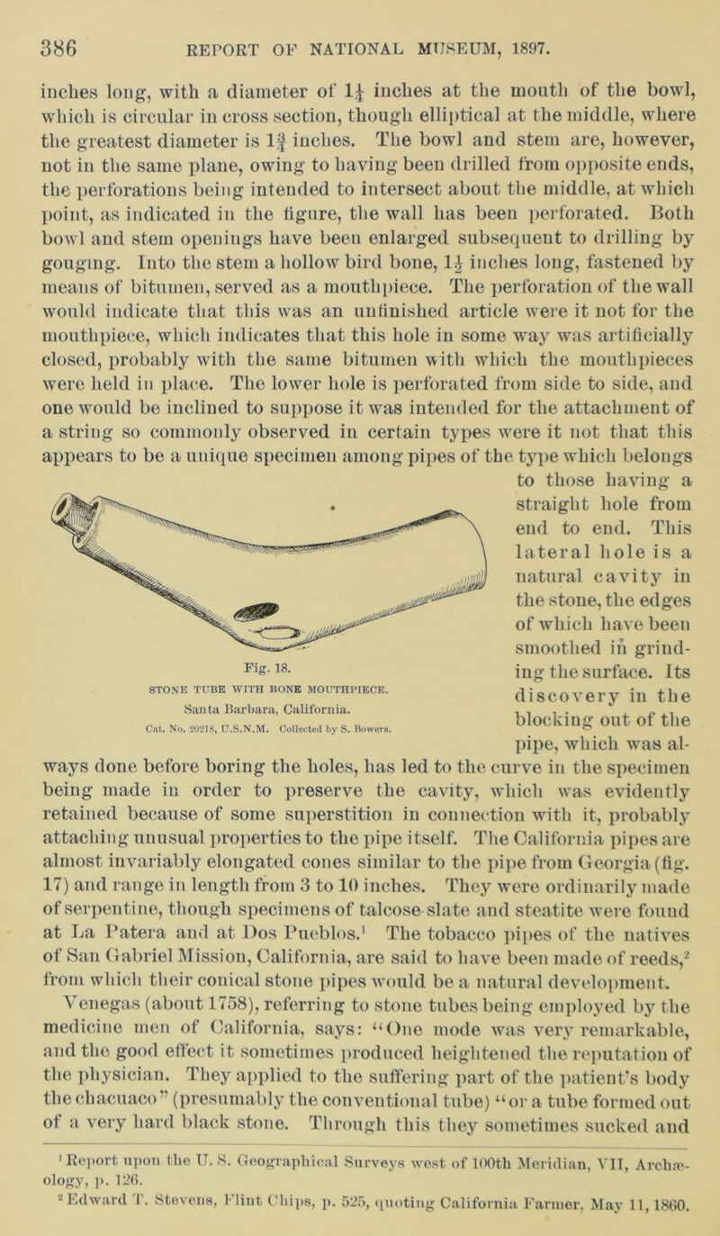 inches long, with a diameter of inches at the mouth of the bowl, which is circular in cross section, though elliptical at the middle, where the greatest diameter is If inches. The bowl and stem are, however, not in the same plane, owing to having been drilled from opposite ends, the perforations being intended to intersect about the middle, at which point, as indicated in the figure, the wall has been perforated. Both bowl and stem openings have been enlarged subsequent to drilling by gouging. Into the stem a hollow bird bone, 11 inches long, fastened by means of bitumen, served as a mouthpiece. The perforation of the wall would indicate that this was an unfinished article were it not for the mouthpiece, which indicates that this hole in some way was artificially closed, probably with the same bitumen with which the mouthpieces were held in place. The lower hole is perforated from side to side, and one would be inclined to suppose it was intended for the attachment of a string so commonly observed in certain types were it not that this appears to be a unique specimen among pipes of the type which belongs to those having a straight hole from end to end. This lateral hole is a natural cavity in the stone, the edges of which have been smoothed in grind- ing the surface. Its discovery in the blocking out of the pipe, which wms al- ways done before boring the holes, has led to the curve in the specimen being made in order to preserve the cavity, which was evidently retained because of some superstition in connection with it, probably attaching unusual properties to the pipe itself. The California pipes are almost invariably elongated cones similar to the pipe from Georgia (fig. 17) and range in length from 3 to 10 inches. They were ordinarily made of serpentine, though specimens of talcose slate and steatite were found at La Patera and at Dos Pueblos.1 The tobacco pipes of the natives of San Gabriel Mission, California, are said to have been made of reeds,2 from which their conical stone pipes would be a natural development, Venegas (about 1758), referring to stone tubes being employed by the medicine men of California, says: “One mode was very remarkable, and the good effect it sometimes produced heightened the reputation of the physician. They applied to the suffering part of the patient’s body the chacuaco” (presumably the conventional tube) “or a tube formed out of a very hard black stone. Through this they sometimes sucked and Fig. 18. STONE TO BE WITH BONE MOUTHPIECE. Santa Barbara, California. Cat. No. 20218, U.S.N.M. Collected by S. Bowers. 1 Report upon the U. S. Geographical Surveys west of 100th Meridian, VII, Archie- ology, p. 126. 2 Edward T. Stevens, Flint Chips, p. 525, quoting California Farmer, May 11,1860.