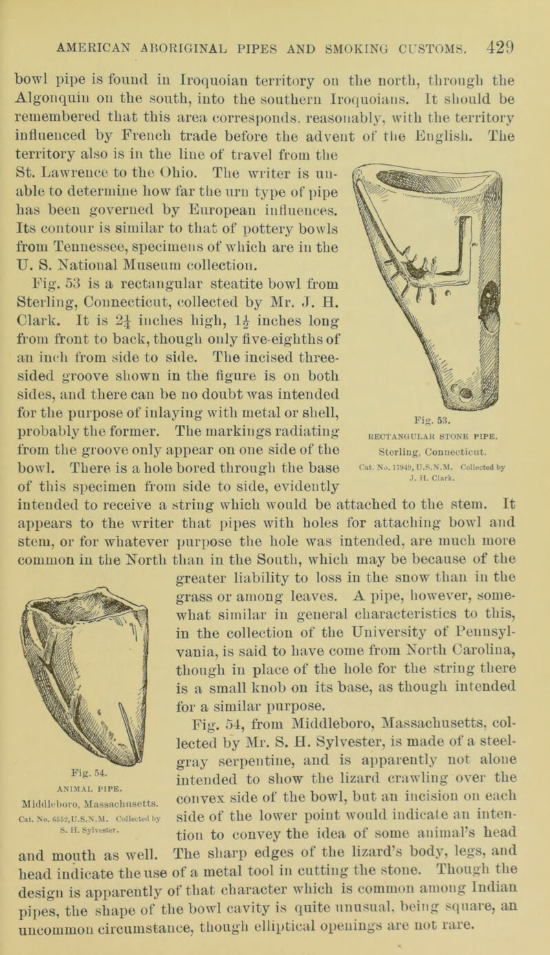 Fig. 53. RECTANGULAR STONE PIPE. Sterling, Connecticut. Cat. No. 17949, U.S.N.M. Collected by J.H. Clark. bowl pipe is found in Iroquoian territory on tbe north, through the Algonquin on the south, into the southern Iroquoians. It should be remembered that this area corresponds, reasonably, with the territory influenced by French trade before the advent of the English. The territory also is in the line of travel from the St. Lawrence to the Ohio. The writer is un- able to determine how far the urn type of pipe has been governed by European influences. Its contour is similar to that of pottery bowls from Tennessee, specimens of which are in the U. S. National Museum collection. Fig. 53 is a rectangular steatite bowl from Sterling, Connecticut, collected by Mr. J. H. Clark. It is 2^ inches high, 1£ inches long from front to back, though only five-eighths of an inch from side to side. The incised three- sided groove shown in the figure is on both sides, and there can be no doubt was intended for the purpose of inlaying with metal or shell, probably the former. The markings radiating from the groove only appear on one side of the bowl. There is a hole bored through the base of this specimen from side to side, evidently intended to receive a string which would be attached to the stem. It appears to the writer that pipes with holes for attaching bowl and stem, or for whatever purpose the hole was intended, are much more common in the North than in the South, which may be because of the greater liability to loss in the snow than in the grass or among leaves. A pipe, however, some- what similar in general characteristics to this, in the collection of the University of Pennsyl- vania, is said to have come from North Carolina, though in place of the hole for the string there is a small knob on its base, as though intended for a similar purpose. Fiii'. 54, from Middleboro, Massachusetts, col- lected by Mr. S. H. Sylvester, is made of a steel- gray serpentine, and is apparently not alone intended to show the lizard crawling over the convex side of the bowl, but an incision on each side of the lower point would indicate an inten- tion to convey the idea of some animal’s head and mouth as well. The sharp edges of the lizard s body, legs, and head indicate the use of a metal tool in cutting the stone. Though the design is apparently of that character which is common among Indian pipes, the shape of the bowl cavity is quite unusual, being square, an uncommon circumstance, though elliptical openings are not rare. Fig. 54. ANIMAL PIPE. Middleboro, Massachusetts. Cat. No. 6552.U.S.N.M. Colleute*! by S. H. Sylvester.