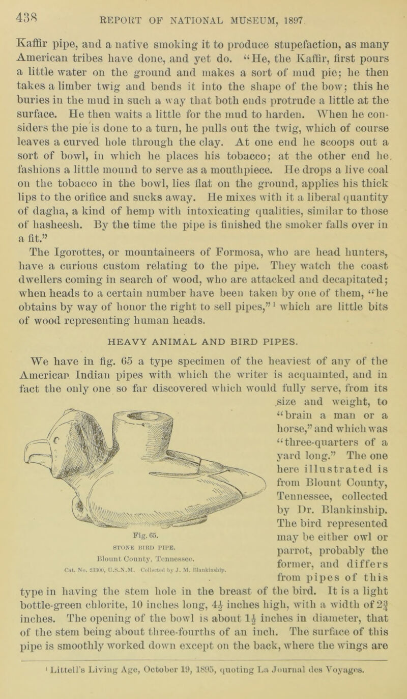 Kaffir pipe, and a native smoking it to produce stupefaction, as many American tribes have done, and yet do. “He, the Kaffir, first pours a little water on the ground and makes a sort of mud pie; he then takes a limber twig and bends it into the shape of the bow; this he buries in the mud in such a way that both ends protrude a little at the surface. He then waits a little for the mud to harden. When he con- siders the pie is done to a turn, he pulls out the twig, which of course leaves a curved hole through the clay. At one end he scoops out a sort of bowl, in which he places his tobacco; at the other end he. fashions a little mound to serve as a mouthpiece. He drops a live coal on the tobacco in the bowl, lies flat on the ground, applies his thick lips to the orifice and sucks away. He mixes with it a liberal quantity of dagha, a kind of hemp with intoxicating qualities, similar to those of hasheesh. By the time the pipe is finished the smoker falls over in a fit.” The Igorottes, or mountaineers of Formosa, who are head hunters, have a curious custom relating to the pipe. They watch the coast dwellers coming in search of wood, who are attacked and decapitated; wheu heads to a certain number have been taken by one of them, “he obtains by way of honor the right to sell pipes,”1 which are little bits of wood representing human heads. HEAVY ANIMAL AND BIRD PIPES. We have in fig. G5 a type specimen of the heaviest of any of the American Indian pipes with which the writer is acquainted, and in fact the only one so far discovered which would fully serve, from its .size and weight, to “brain a man or a horse,” and which was “three-quarters of a yard long.” The one here illustrated is from Blount County, Tennessee, collected by Dr. Blankinship. The bird represented may be either owl or parrot, probably the former, and differs from pipes of this type in having the stem hole in the breast of the bird. It is a light bottle-green chlorite, 10 inches long, 4.1 inches high, with a width of 2^ inches. The opening of the bowl is about 14 inches in diameter, that of the stem being about three-fourths of an inch. The surface of this pipe is smoothly worked down except on the back, where the wings are Fig. 65. STONE BIRD PirE. Blount County, Tennessee. Cat. No. 28300, U.S.N.M. Collected by J. M. Blankinship. 1 Littell's Living Age, October 19, 1895, quoting La Journal ties Voyages.