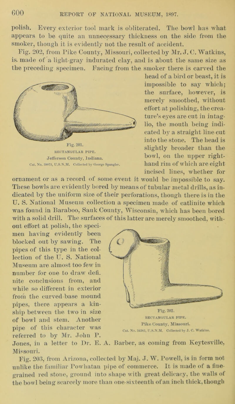 polish. Every exterior tool mark is obliterated. The bowl has what appears to be quite an unnecessary thickness on the side from the smoker, though it is evidently not the result of accident. Fig. 202, from Pike County, Missouri, collected by Mr. J. C. Watkins, is. made of a light-gray indurated clay, and is about the same size as the preceding specimen. Facing from the smoker there is carved the head of a bird or beast, it is impossible to say which; the surface, however, is merely smoothed, without effort at polishing, the crea- ture’s eyes are cut in intag- lio, the mouth being indi- cated by a straight line cut into the stone. The head is slightly broader than the bowl, on the upper right- incised lines, whether for ornament or as a record of some event it would be impossible to say. These bowls are evidently bored by means of tubular metal drills, as in- dicated by the uniform size of their perforations, though there is in the U. S. National Museum collection a specimen made of eatlinite which was found in Baraboo, Sauk County, Wisconsin, which has been bored with a solid drill. The surfaces of this latter are merely smoothed, with- out effort at polish, the speci- men having evidently been blocked out by sawing. The pipes of this type in the col- lection of the U. S. National Museum are almost too few in number for one to draw defi- nite conclusions from, and while so different in exterior from the curved base mound pipes, there appears a kin- ship between the two in size of bowl and stem. Another pipe of this character was referred to by Mr. John P. Jones, in a letter to Dr. E. A. Barber, as coming from lveytesville, Missouri. Fig. 203, from Arizona, collected by Maj. J. W. Powell, is in form not unlike the familiar Powhatan pipe of commerce. It is made of a fine- grained red stone, ground into shape with great delicacy, the walls of the bowl being scarcely more than one-sixteenth of an inch thick,though Fig.202. RECTANGULAR PIPE. Tike County, Missouri. Cat. No. 34383, U.S.N.M. Collect.'.! by J. C. Watkins. RECTANGULAR PIPE. Jefferson County, Indiana.