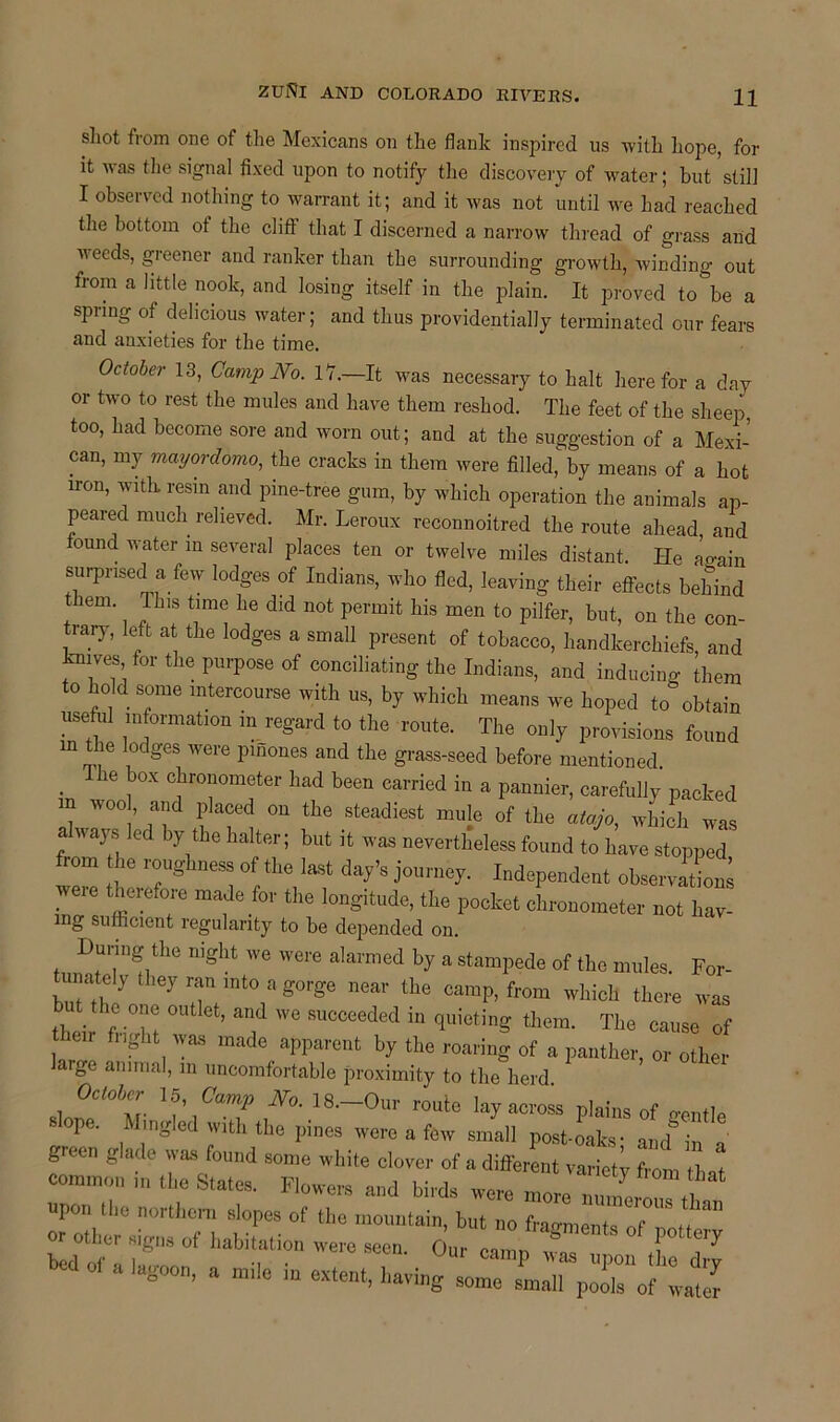 shot from one of the Mexicans on the flank inspired us with hope, for it was the signal fixed upon to notify the discovery of water; but still I observed nothing to warrant it; and it was not until we had reached the bottom of the cliff that I discerned a narrow thread of grass and weeds, greener and ranker than the surrounding growth, winding out from a little nook, and losing itself in the plain. It proved to be a spring of delicious water; and thus providentially terminated our fears and anxieties for the time. October 13, Camp No. 17.—It was necessary to halt here for a day or two to rest the mules and have them reshod. The feet of the sheep, too, had become sore and worn out; and at the suggestion of a Mexi- can, my rnayordorno, the cracks in them were filled, by means of a hot n-on, with, resin and pine-tree gum, by which operation the animals ap- peared much relieved. Mr. Leroux reconnoitred the route ahead and found water in several places ten or twelve miles distant. He avain surprised a few lodges of Indians, who fled, leaving their effects behind them. This time he did not permit his men to pilfer, but, on the con- trary, left at the lodges a small present of tobacco, handkerchiefs, and 'ni ves, for the purpose of conciliating the Indians, and inducing them to hold some intercourse with us, by which means we hoped to obtain useful information m regard to the route. The only provisions found in the lodges were pifiones and the grass-seed before mentioned The box chronometer had been carried in a pannier, carefully packed n wool, and placed on the steadiest mule of the atajo, which was auajs ec y t e halter; but it was nevertheless found to have stopped rom the roughness of the last day’s journey. Independent observations veie therefore made for the longitude, the pocket chronometer not hav- ing sufficient regularity to be depended on. During the night we were alarmed by a stampede of the mules. For- unately they ran mto a gorge near the camp, from which there was their h-T ’ “a suocce‘M in Viet!g them. The cause of flight was made apparent by the roaring of a panther, or other rge animal, in uncomfortable proximity to the herd. October 15, Camp No. 18.-Our route lay across plains of n-entle slope. Mingled with the pines were a few small post-oafa- aiaf in « green glade was found some white clover of a different variety from tint common the States. Flowers and birds were more 0,1,1™ , upon ilie northern slopes of the mountain, but no fragments of pottery W habitation were seen. Our camp was upon the dry a lagoon, a mile ,n extent, having some small pools of water