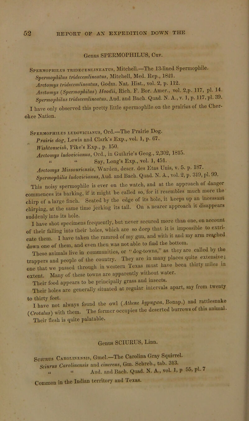 Genus SPERMOPHILUS, Cuv. Spermophilus tridecemlineatus, Mitchell. Phe 13-lincd Spcrniopnilc. Spermophilus tridecemlineatus, Mitchell, Med. Rep., 1821. Arctomys tridecemlineatus, Godin. Nat. Hist., vol. 2, p. 112. Arctomys (Spermophilus) Hoodii, Rich. F. Bor. Amer., vol. 2,p. 117, pi. 14. Spermophilus tridecemlineatus. Aud. and Bach. Quad. N. A., v. 1, p. 117, pi. 39. I have only observed this pretty little spermophile on the prairies of the Cher- okee Nation. Spermophilus ludovicianus, Old.—The Prairie Dog. Prairie dog, Lewis aud Clark s Exp., vol. 1, p. 67. Wishtonicish, Pike’s Exp., p. 150. Arctomys ludovicianus, Ord., in Guthrie’s Geog., 2,302, 1815. « “ Say, Long’s Exp., vol. 1, 451. Arctomys Missouricnsis, Warden, descr. des Etas Luis, v. 5. p. 137. Spermophilis ludovicianus, Aud. and Bach. Quad. N. A., vol. 2, p. 319, pi. 99. This noisy spermophile is ever on the watch, and at the approach of danger commences its barking, if it might be called so, for it resembles much more the chirp of a large finch. Seated by the edge of its hole, it keeps up an incessant chirping, at the same time jerking its tail. On a nearer approach it disappears suddenly into its hole. I have shot specimens frequently, but never secured more than one, on account of their falling into their holes, which are so deep that it is impossible to extri- cate them. I have taken the ramrod of my gun, and with it and my arm replied down one of them, and even then was not able to find the bottom. These animals live in communities, or “dog-towns,” as they are called by the trappers and people of the country. They are in many places quite extensive; one that we passed through in western Texas must have been thirty miles in extent. Many of these towns are apparently without water. Their food appears to be principally grass aud insects. Their holes are generally situated at regular intervals apart, say from twenty t0Lhave^not always found the owl (Athene hypugcea, Bonap.) aud rattlesnake (,Crotal.es) with them. The former occupies the deserted burrows of this animal. Their flesh is quite palatable. Genus SCIURUS, Linn. Sciurus Carolinensis, Gniel.—The Carolina Gray Squirrel. Sciurus Carolincnsis and cinercus, Gm. Sclireb., tab. 313. „ •< Aud. and Bach. Quad. N. A., vol. 1,P 55»Pb 7 Common in the Indian territory and Texas.