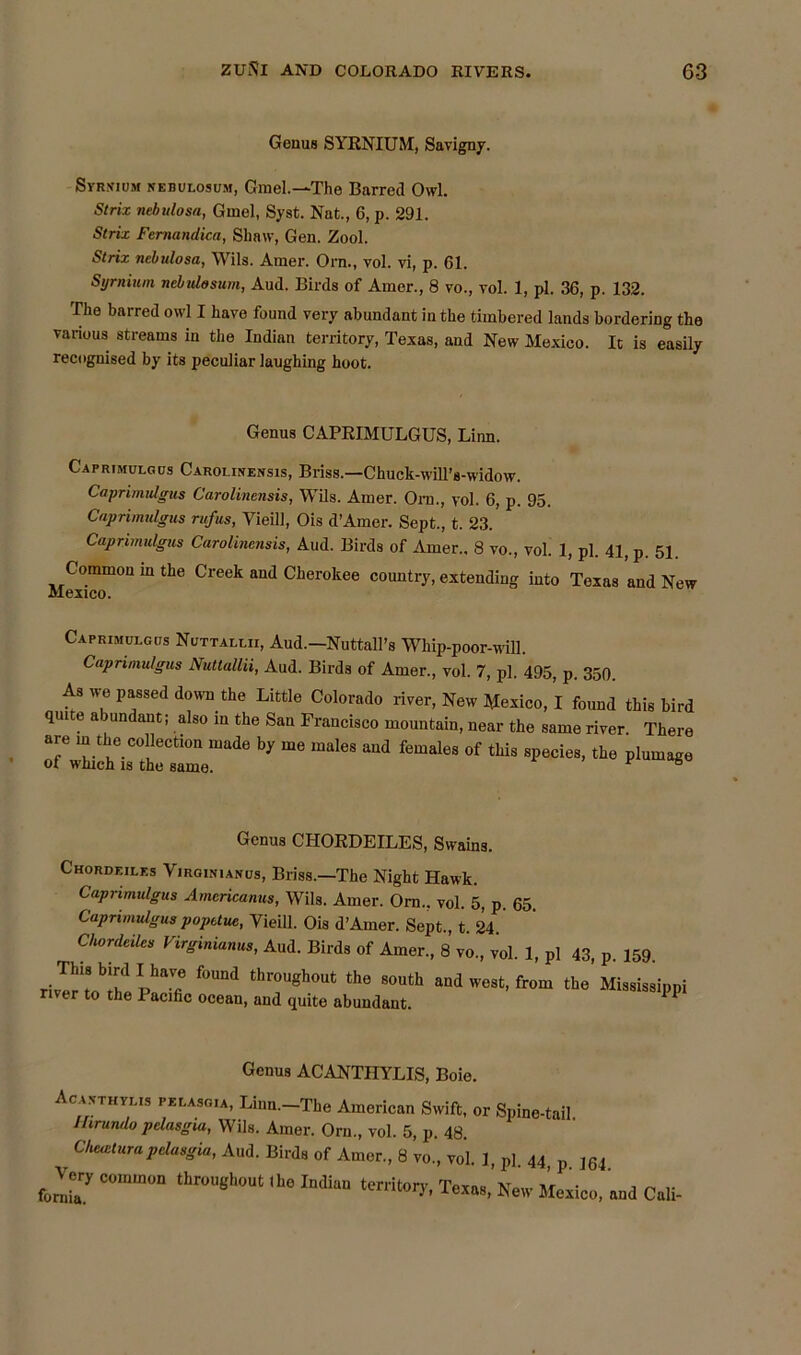 Genus SYRNIUM, Savigny. Syrkiom nebulosum, Gmel.—The Barred Owl. Strix nebulosa, Gmel, Syst. Nat., 6, p. 291. Strix Femandica, Shaw, Gen. Zool. Strix nebulosa, Wils. Amer. Orn., vol. vi, p. 61. Syrnium nebulosum, Aud. Birds of Amer., 8 vo., vol. 1, pi. 36, p. 132. The barred owl I have found very abundant in the timbered lands bordering the various streams in the Indian territory, Texas, aud New Mexico. It is easily recognised by its peculiar laughing hoot. Genus CAPEIMULGUS, Linn. Caprimulgus Carolinensis, Briss.—Chuck-will’s-widow. Caprimulgus Carolinensis, Wils. Amer. Ora., vol. 6, p. 95. Caprimulgus rufus, Yieill, Ois d’Amer. Sept., t. 23. Caprimulgus Carolinensis, Aud. Birds of Amer.. 8 vo., vol. 1, pi. 41, p. 51. Common m the Creek and Cherokee country, extending into Texas and New Mexico. Caprimulgus Nuttallii, Aud.—Nuttall’s Whip-poor-will. Caprimulgus Nuttallii, Aud. Birds of Amer., vol. 7, pi. 495, p. 350. As we passed down the Little Colorado river, New Mexico, I found this bird qmte abundant; also in the San Francisco mountain, near the same river There are in the collection made by me males and females of this species, the plumage of which is the same. * 8 Genus CHORDEILES, Swains. Chordf.iles Virginianus, Briss.—The Night Hawk. Caprimulgus Americanus, Wils. Amer. Orn.. vol. 5, p. 65. Caprimulgus popetue, Vieill. Ois d’Amer. Sept., t 24 Chordeilcs Virginianus, Aud. Birds of Amer., 8 vo., vol. 1, pi 43, p. 159. rivT.r‘tobth!- RhaVfi f°Und thl'°ugh0ut the 80uth and west, from the Mississippi river to the Pacific ocean, and quite abundant. 11 Genus ACANTHYLIS, Boie. Acanthylis pelasgia, Linn.—The American Swift, or Spine-tail. Ihrundo pclasgia, Wils. Amer. Orn., vol. 5, p. 48. Chewturapelasgia, Aud. Birds of Amer., 8 vo., vol. 1, pi 44 p I61 Vcr, con,™,, ttoughou. .h. Mta territoiy, Texas, New Mexico, aod Cali-