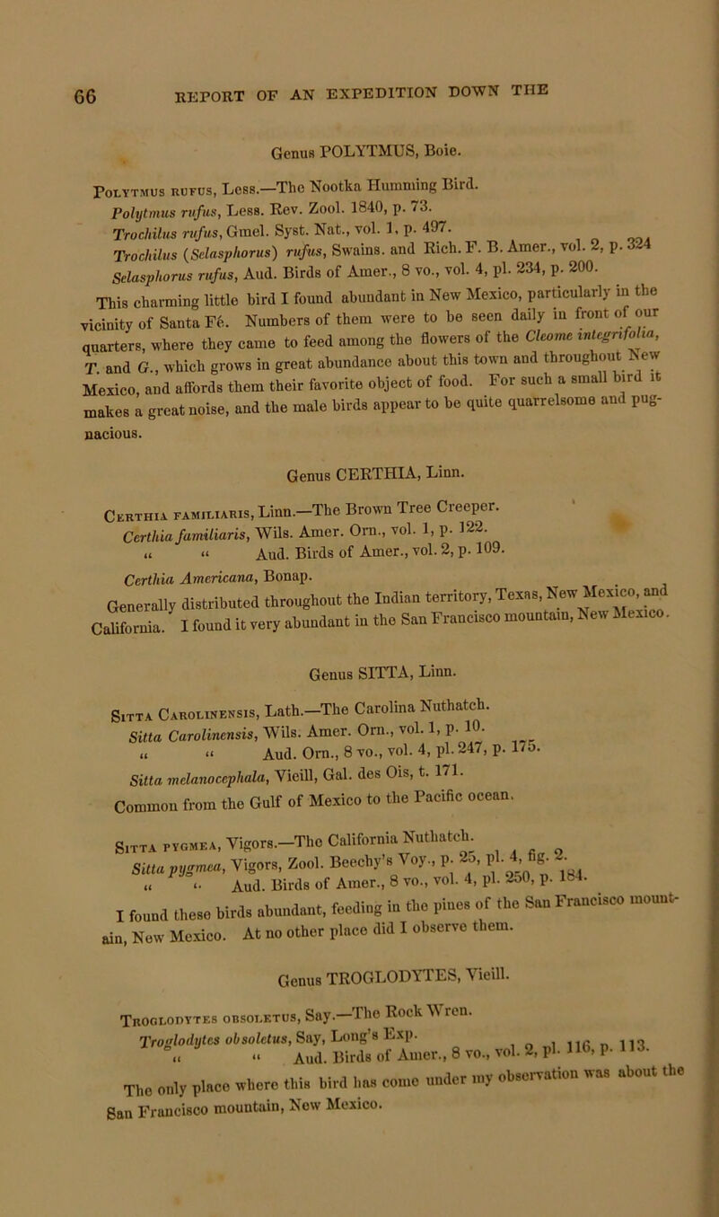 Genus POLYTMUS, Boie. Polytmus rufus, Less.—The Nootka Humming Bird. Polytmus rufus. Less. Rev. Zool. 1840, p. 73. Trocliilus rufus, Grael. Syst. Nat., vol. 1. p. 497. Trochilus (Selaspliorus) rufus, Swains, and Rich. F. B. Amer., vol. 2, p. 324 Selasphorus rufus, Aud. Birds of Amer., 8 vo., vol. 4, pi. 234, p. 200. This charming little bird I found abundant in New Mexico, particularly in the vicinity of Santa Fe. Numbers of them were to be seen daily m front of our quarters, where they came to feed among the flowers of the Ckomc integnfoha, T and G., which grows in great abundance about this town and throughout New Mexico, and affords them their favorite object of food. For such a small bird it makes a great noise, and the male birds appear to be quite quarrelsome and pug- nacious. Genus CERTHIA, Linn. Certhu FAM.LiARis,Linn.-The Brown Tree Creeper. Certh ia familiar is, Wils. Amer. Orn, vol. 1, p. 122. « « Aud. Birds of Amer., vol. 2, p. 109. Certhia Americana, Bonap. Generally distributed throughout the Indian territory, Texas, New Mexico and California. I found it very abundant in the San Francisco mountain, New Mexico. Genus SITTA, Linn. SiTTA Carolinensis, Lath.-The Carolina Nuthatch. Sitta Carolinensis, Wils. Amer. Orn., vol. 1, p. 1 • « « Aud. Orn., 8 vo., vol. 4, pi. 247, p. 17o. Sitta mclanoccphala, Yicill, Gal. des Ois, t. 1/1. Common from the Gulf of Mexico to the Pacific ocean. Sitta pygmea, Vigors.-The California Nuthatch. Sitta pygmea, Vigors, Zool. Bcechy’s Voy., P- 2o, pi. 4, fig. 2- « <• Aud. Birds of Amer., 8 vo., vol. 4, pi. 250, p. 1B4. I found these birds abundant, feeding in the pines of the San Francisco mount- ain, New Mexico. At no other place did I observe them. Genus TROGLODYTES, Vieill. Troglodytes obsoi.etus, Say.—The Rock V ren. Troglodytes obsolctus, Say, Long’s Exp. , llfi i13 Aud. Birds of Amer., 8 vo., vol. 2, pb HG, p. 113. The only place There thb bird ha. come under my ob.err.tlou tea. .bout the San Francisco mountain, Now Mexico.