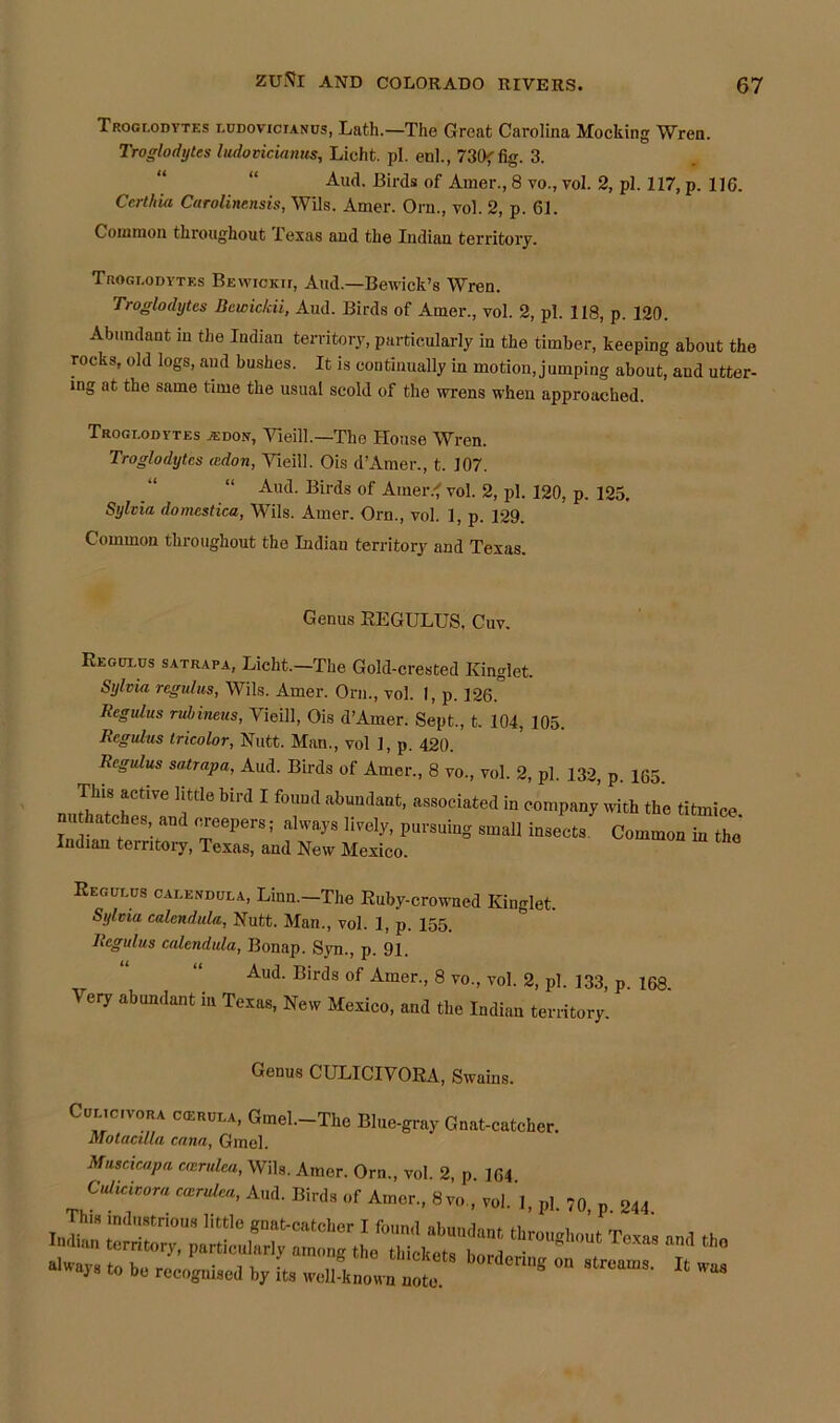 Troglodytes ludovictanus, Lath.—The Great Carolina Mocking Wren. Troglodytes ludovicianus, Licht. pi. enl., 730ffig. 3. Aud. Birds of Amer., 8 vo., vol. 2, pi. 117, p. 116. Ccrtliia Carolinensis, Wils. Amer. Orn., vol. 2, p. 61. Common throughout Texas and the Indian territory. Troglodytes Bewickii, And.—Bewick’s Wren. Troglodytes Bewickii, Aud. Birds of Amer., vol. 2, pi. 118, p. 120. Abundant in the Indian territory, particularly in the timber, keeping about the rocks, old logs, and bushes. It is continually in motion, jumping about, and utter- ing at the same time the usual scold of the wrens when approached. Troglodytes a'don, Wieill.—The House Wren. Troglodytes cedon, Yieill. Ois d’Amer., t. 107. “ Aud. Birds of Amer.< vol. 2, pi. 120, p. 125. Sylvia domestica, Wils. Amer. Orn., vol. 1, p. 129. Common throughout the Indian territory and Texas. Genus REGULUS, Cuv. Kegulus satrapa, Licht.—The Gold-crested Kinglet. Sylvia regulus, Wils. Amer. Orn., vol. I, p. 126. Regains rubineus, Yieill, Ois d’Amer. Sept., t. 104, 105. Regulus tricolor, Nutt. Man., vol 1, p. 420. Regulus satrapa, Aud. Birds of Amer., 8 vo., vol. 2, pi. 132, p. 165. This active little bird I found abundant, associated in company with the titmice nu hatches and creepers; always lively, pursuing small insects Common ZZ Indian territory, Texas, and New Mexico. Regulus calendula, Linn.-The Ruby-crowned Kinglet. Sylvia calendula, Nutt. Man., vol. 1, p. 155. Regulus calendula, Bonap. Syn., p. 91. Aud’ Birds of Amer-. 8 vo., vol. 2, pi. 133, p. 168. Very abundant in Texas, New Mexico, and the Indian territory. Genus CULICIVORA, Swains. Cur ic.voRA ccerula, Gmel.-The Blue-gray Gnat-catcher. Motacilla cana, Gmel. Muscicapa ccerulea, Wils. Amer. Orn., vol. 2, p 164 And- »«!■ * Amor.. 8™, v„|.pl. Sj4 sisasSSsSsassiK