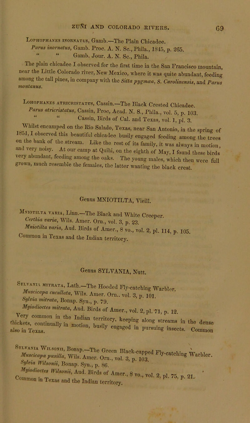 Lophophanks inornatus, Gamb.—The Plain Chicadee. P«r«s inornatus, Gamb. Proc. A. N. Sc., Phila., 1815, p. 265. “ “ Gamb. Jour. A. N. Sc., Phila. The plain chicadee I observed for the first time in the San Francisco mountain, near the Little Colorado river, New Mexico, where it was quite abundant, feeding among the tall pines, in company with the Sitta pygmcca, S. Carolinensis, and Parus montanus. Lohophanes atricristatus, Cassin.—The Black Crested Chicadee. Parus atricristatus, Cassin, Proc, Acad. N. S., Phila., vol. 5, p. 103. Cassin, Birds of Cal. and Texas, vol. 1, pi. 3. Whilst encamped on the Rio Salado, Texas, near San Antonio, in the spring of ISol, I observed this beautiful chicadee busily engaged feeding among the trees on the bank of the stream. Like the rest of its family, it was always in motion, and very noisy At our camp at Quihi, on the eighth of May, I found these birds very abundant, feeding among the oaks. The young males, which then were full grown, much resemble the females, the latter wanting the black crest. Genus MNIOTILTA, Vieill. M.viotii.ta varia, Linn.-The Black and White Creeper Certhia vana, Wils. Amer. Orn., vol. 3, p. 23. < MniotUta varia, Aud. Birds of Amer., 8 vo., vol. 2, pi. 114, p. 105, Common in Texas and the Indian territory. Genus SYLVANIA, Nutt. SvEVAim mitrata, Lath.-The Hooded Fly-catching Warbler Musacapa cucullata, Wils. Amer. Orn.. vol. 3, p 101 Sylvia mitrata, Bonap. Syn., p. 79. Myiodioctcs mitrata, And. Birds of Amer., vol. 2, pi. 71, p. 12. thilkS^rnTnuaUyi^Jottr keeping alon streams m the dense also in Texas.  °D’ ^ CDgnged in Common Sylvia IIilsonii, Bonap. Syn., p. 86. Bird' 0f Am0r 8 ™l- 2, pi. 75, p. 2, ' C jinmon in Texas and the Iudian territory.