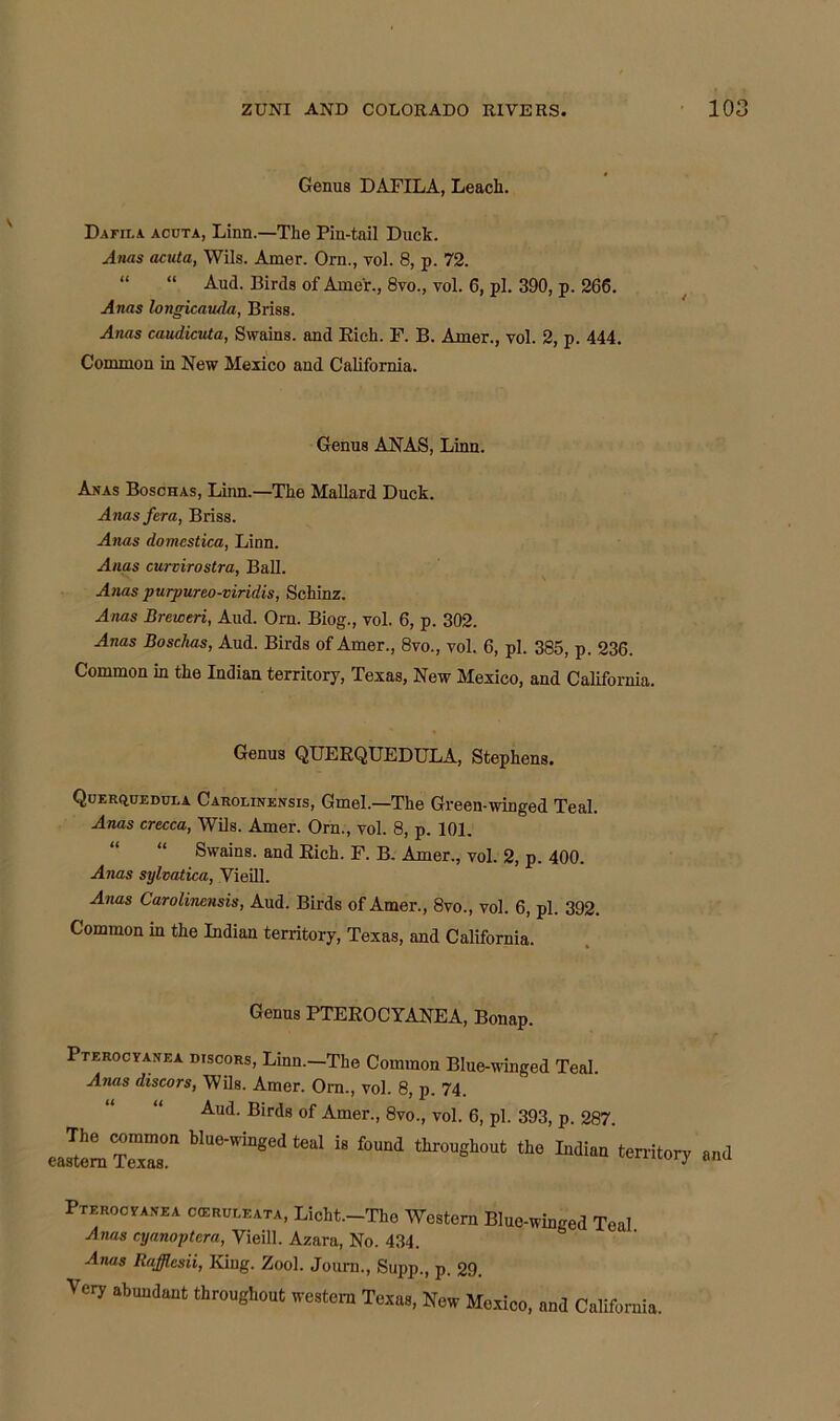 Genus DAFILA, Leach. Dafii.a acuta, Linn.—The Pin-tail Duck. Anas acuta, Wils. Amer. Orn., vol. 8, p. 72. “ “ Aud. Birds of Atne'r., 8vo., vol. 6, pi. 390, p. 266. Anas longicauda, Briss. Anas caudicuta, Swains, and Rich. F. B. Amer., vol. 2, p. 444. Common in New Mexico and California. Genus ANAS, Linn. Anas Boschas, Linn.—The Mallard Duck. Anas fera, Briss. Anas domestica, Linn. Anas curvirostra, Ball. Anas purpureo-mridis, Schinz. Anas Breweri, Aud. Orn. Biog., vol. 6, p. 302. Anas Boschas, Aud. Birds of Amer., 8vo., vol. 6, pi. 385, p. 236. Common in the Indian territory, Texas, New Mexico, and California. Genus QUERQUEDULA, Stephens. Querquedula Carolinensis, Gmel.—The Green-winged Teal. Anas crecca, Wils. Amer. Orn., vol. 8, p. 101. “ Swains, and Eich. F. B. Amer., vol. 2, p. 400. Anas sylvatica, Vieill. Anas Carolinensis, Aud. Birds of Amer., 8vo., vol. 6, pi. 392. Common in the Indian territory, Texas, and California. Genus PTEROCYANEA, Bonap. Pterocyanea discors, Linn.—The Common Blue-winged Teal Anas discors, Wils. Amer. Orn., vol. 8, p. 74. Aud. Birds of Amer., 8vo., vol. 6, pi. 393, p. 287. JtemTe™ bWI”8Clt<”‘I is f»“d flyout the Indiee territ0I7 a„«l PrmoorAmi cfflRULEATA, Licht.-The IVojtcm BIIJ,JinKc,1 Ted Anas cyanoptcra, Vieill. Azara, No. 434. Anas Rafflcsii, King. Zool. Journ., Supp., p. 29. Very abundant throughout western Texas, New Mexico, and California.