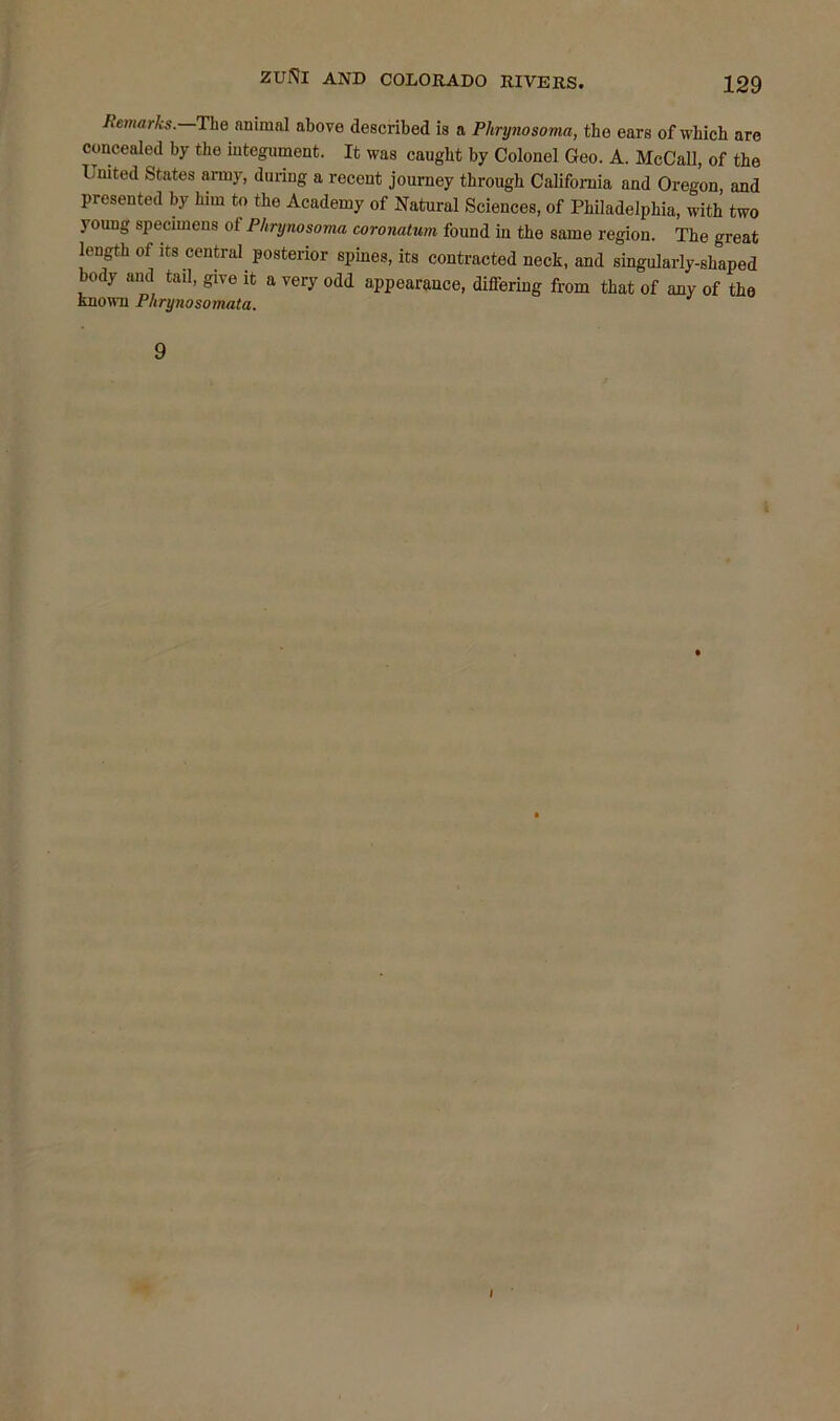 Remarks. The animal above described is a Phrynosoma, the ears of which are concealed by the integument. It was caught by Colonel Geo. A. McCall, of the United States army, during a recent journey through California and Oregon and presented by him to the Academy of Natural Sciences, of Philadelphia, with two young specimens of Phrynosoma coronatum found in the same region. The great length of its central posterior spines, its contracted neck, and singularly-shaped body and tail, give it a very odd appearance, differing from that of any of the known Phrynosomata. i